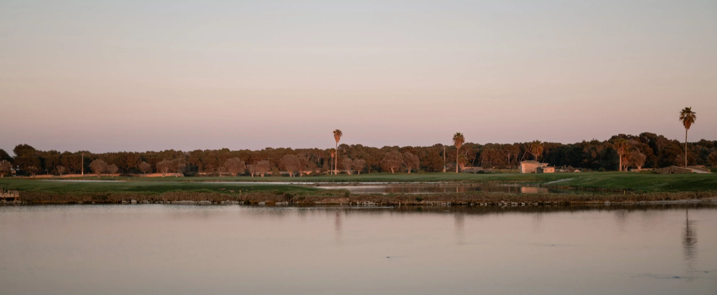 Calm water reflecting a landscape of palm trees, bushes, and small buildings under a clear sky at sunset.