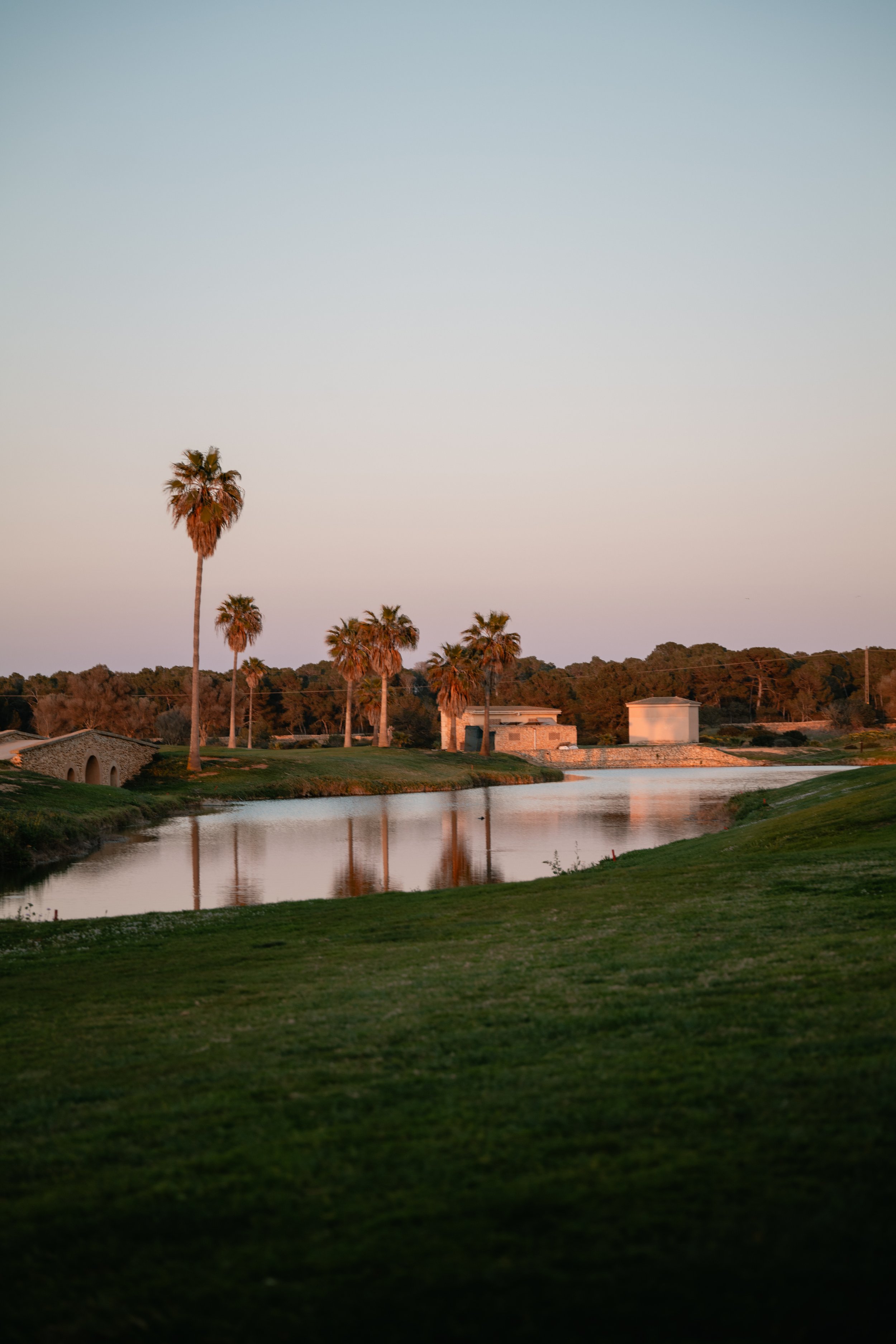 A peaceful scene at sunset with a body of water, tall palm trees lining the water, and houses on the opposite bank, under a light, clear sky.