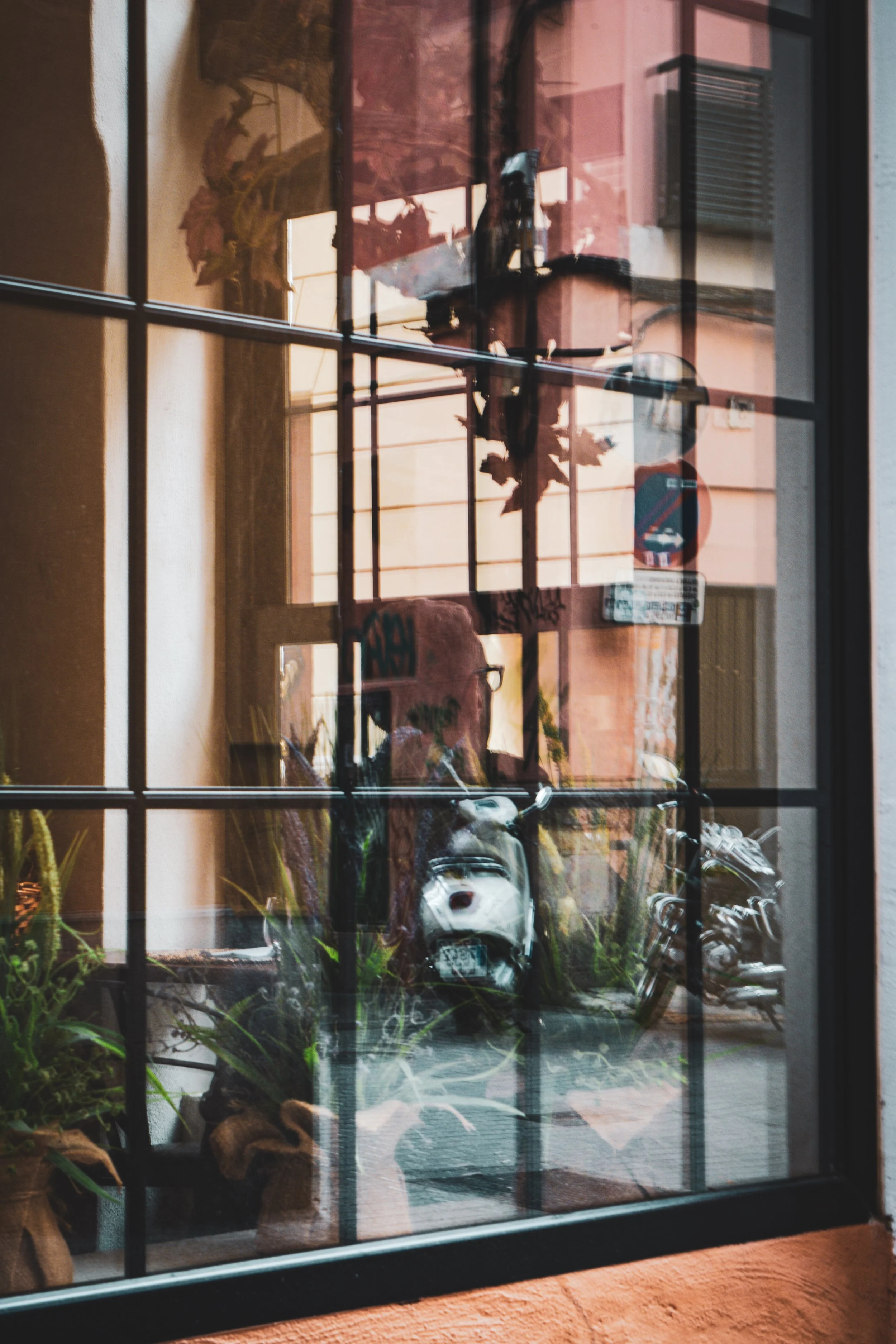 View through a window with black metal grille, showing indoor plants, a person wearing glasses, and bicycles outside on a street against a pink building.