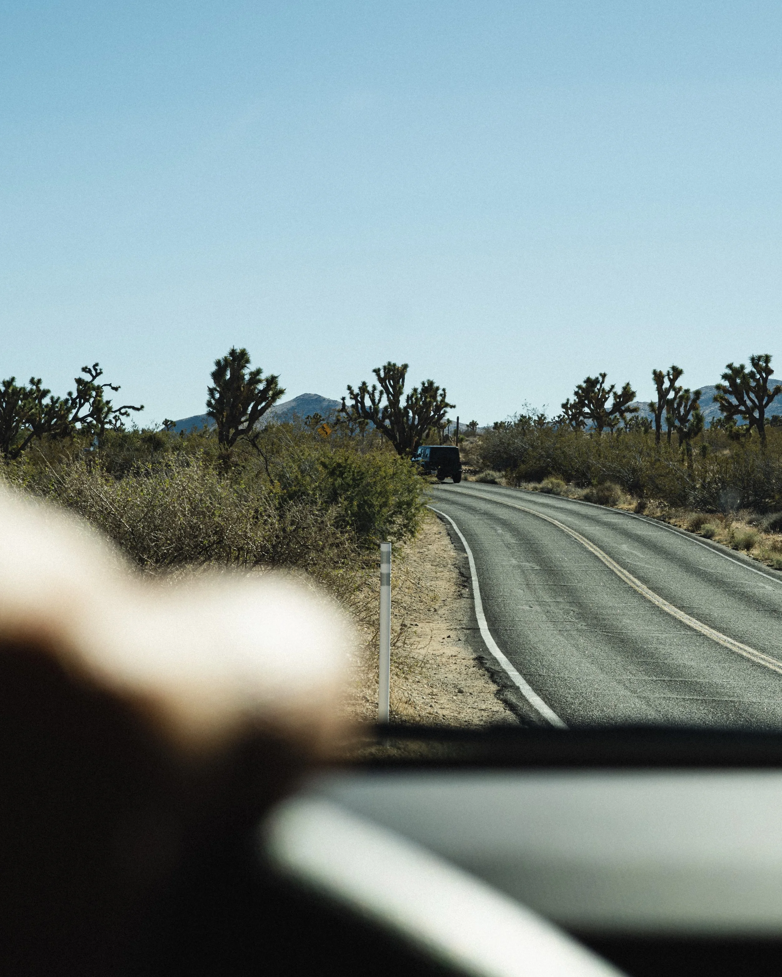 View of a winding desert road with Joshua trees on either side, seen from inside a car, with a black vehicle ahead and mountains in the background under a clear blue sky.