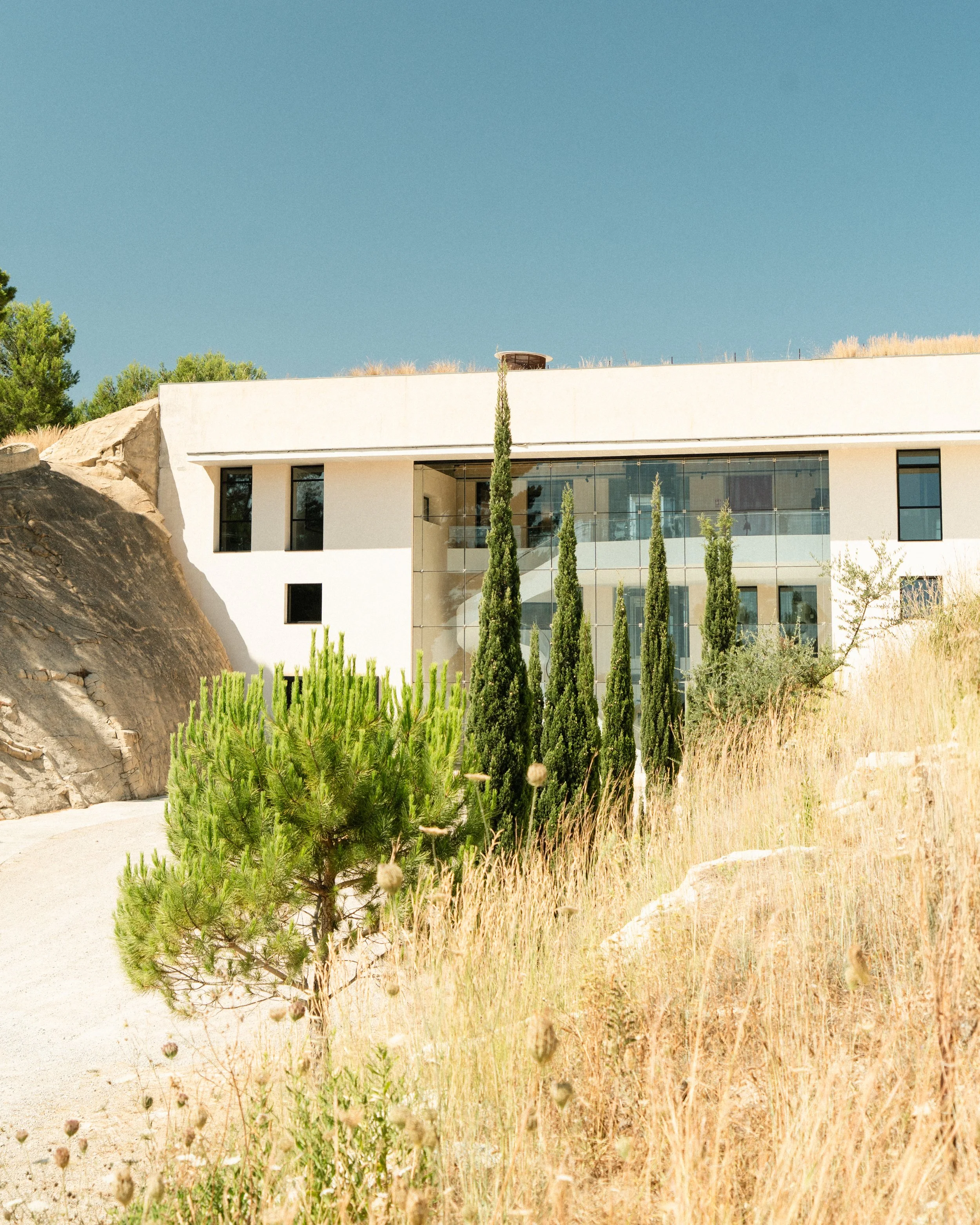 Modern white house with large glass windows, surrounded by tall cypress trees and dry grass, on a clear sunny day.