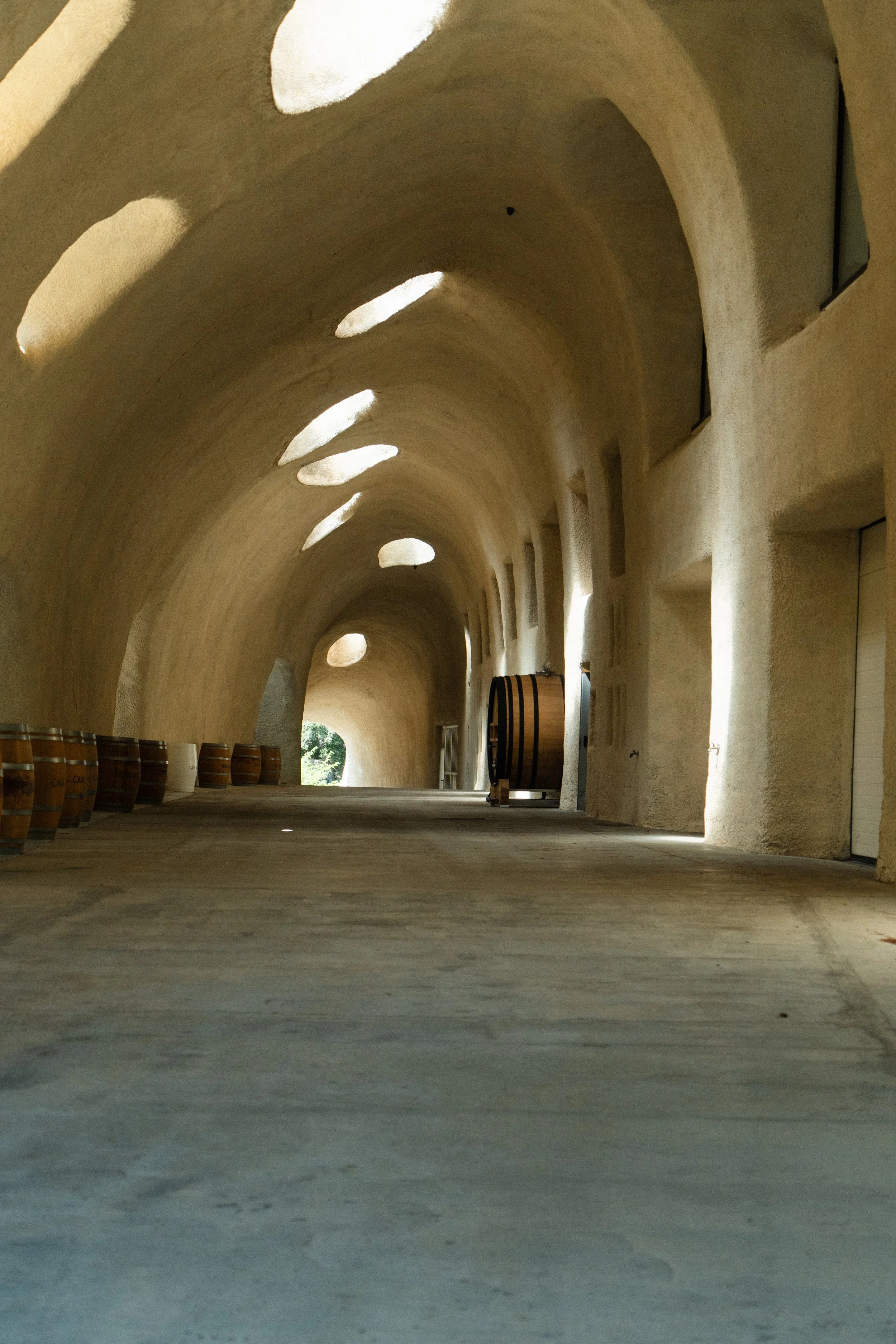 Interior of a building with a curved, beige stucco ceiling with oval skylights, a smooth wooden floor, and wine barrels along one side.