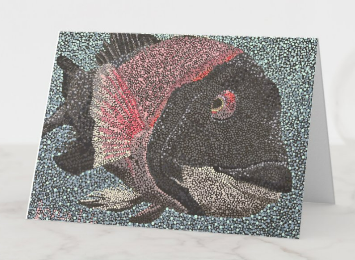 CA Sheephead Card.png
