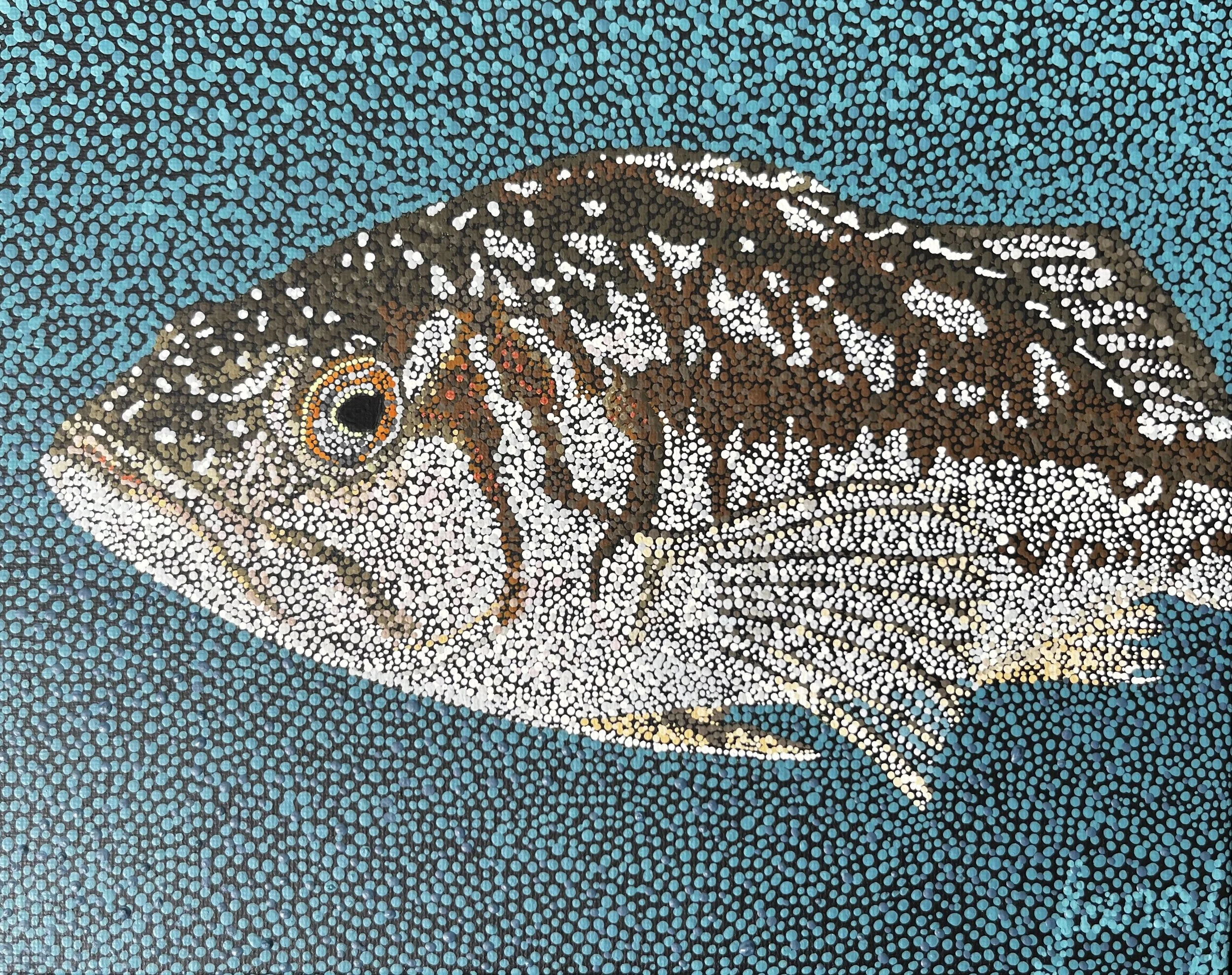 Kelp Bass- Original