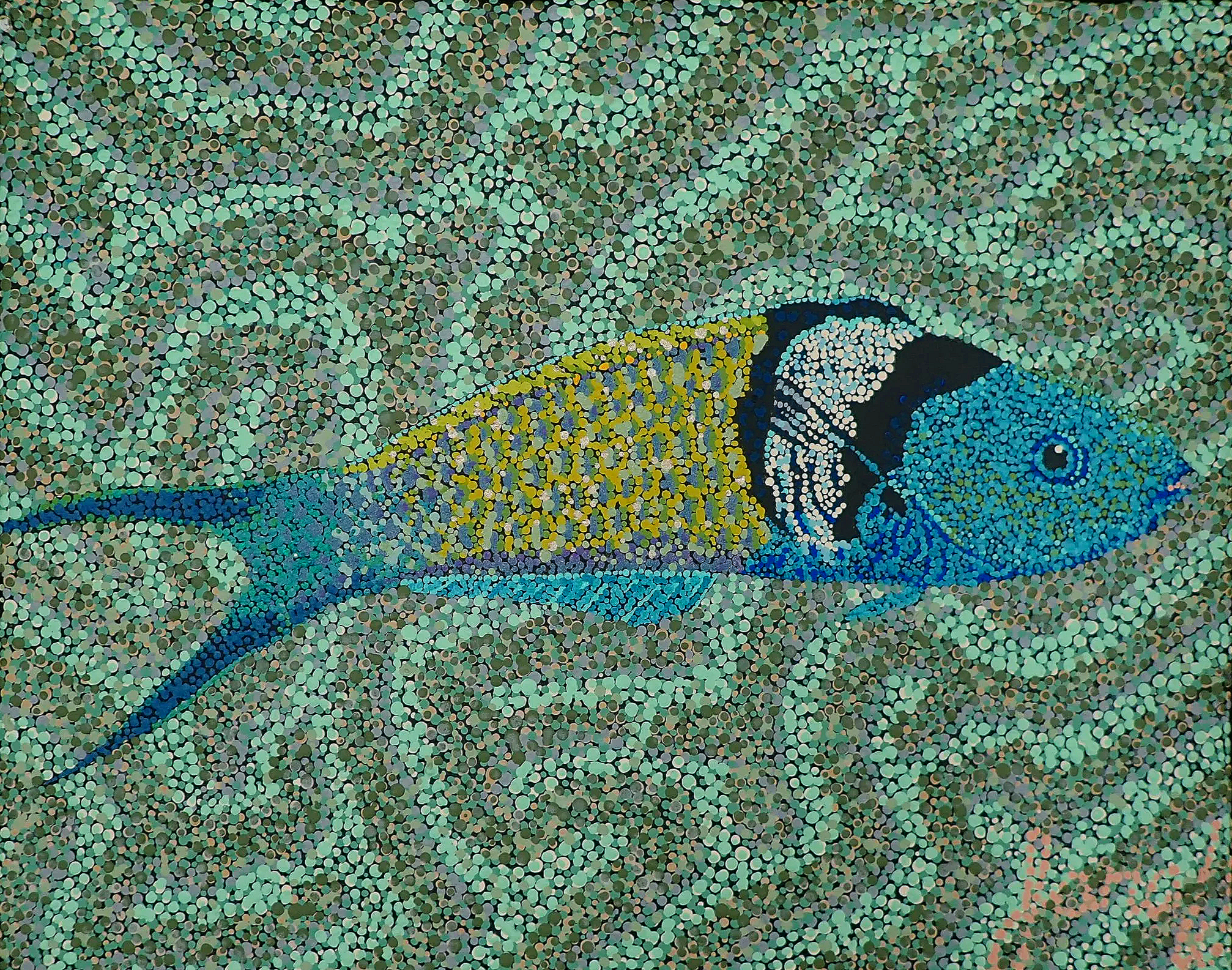 Bluehead Wrasse
