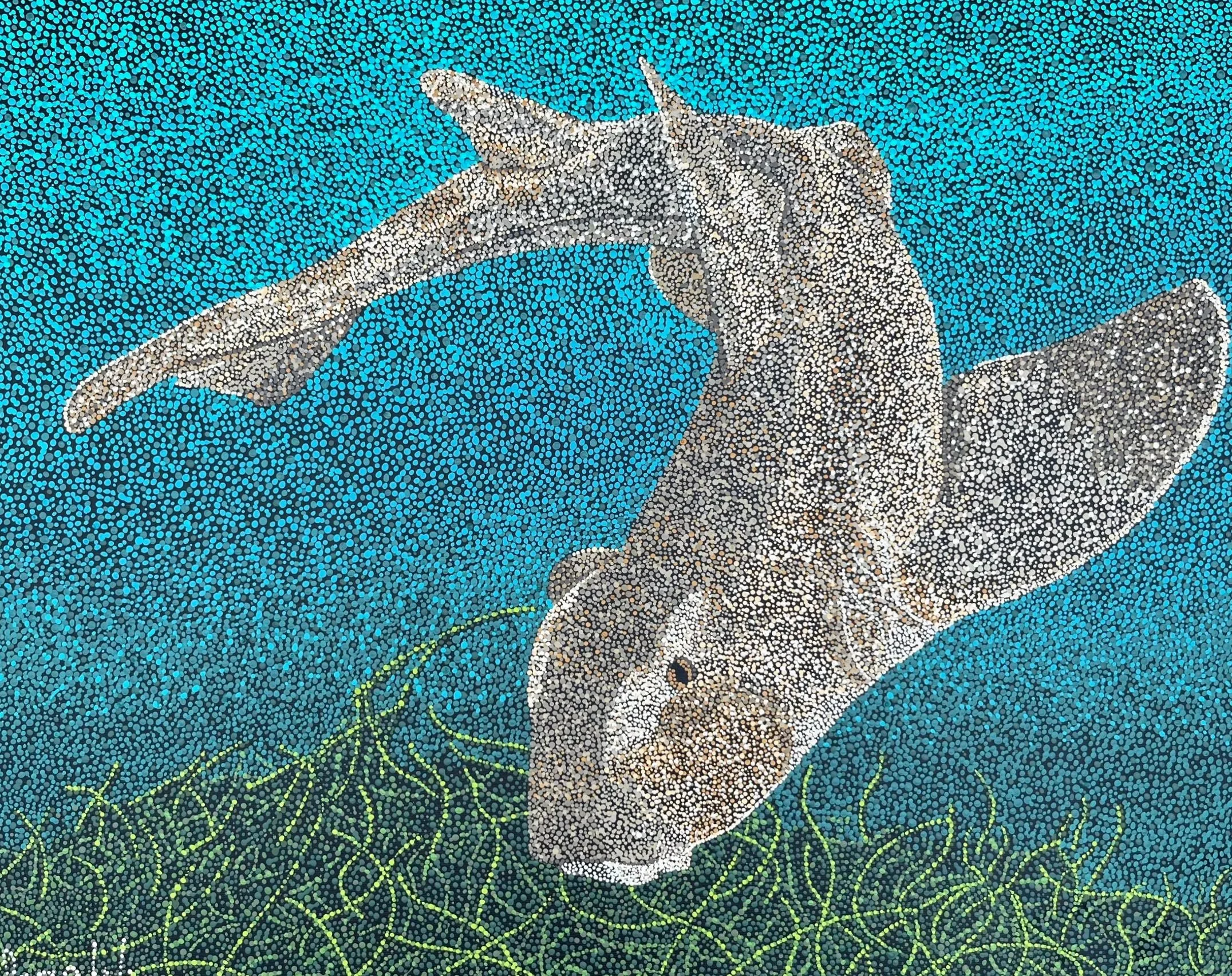 Horned Shark