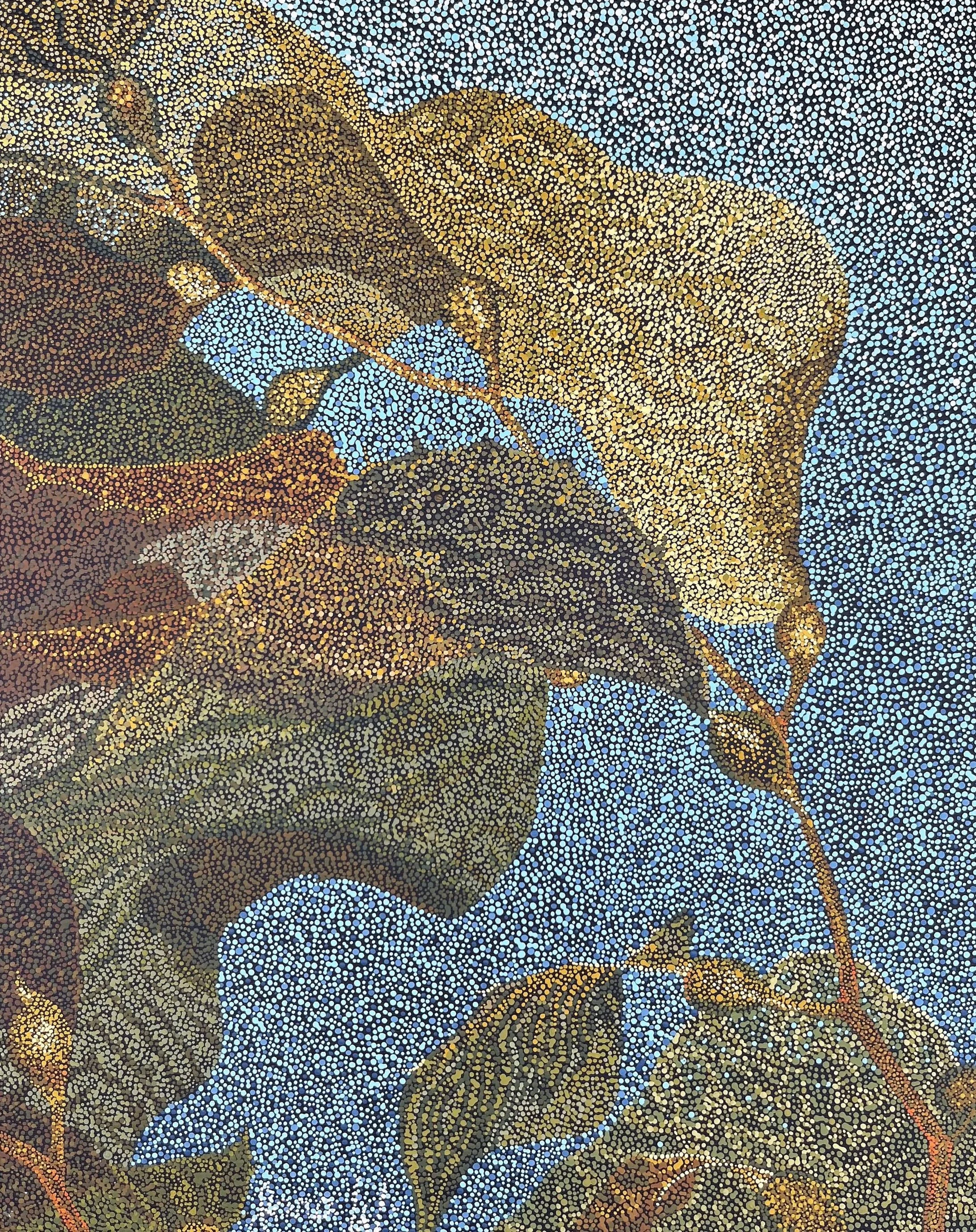 Giant Kelp