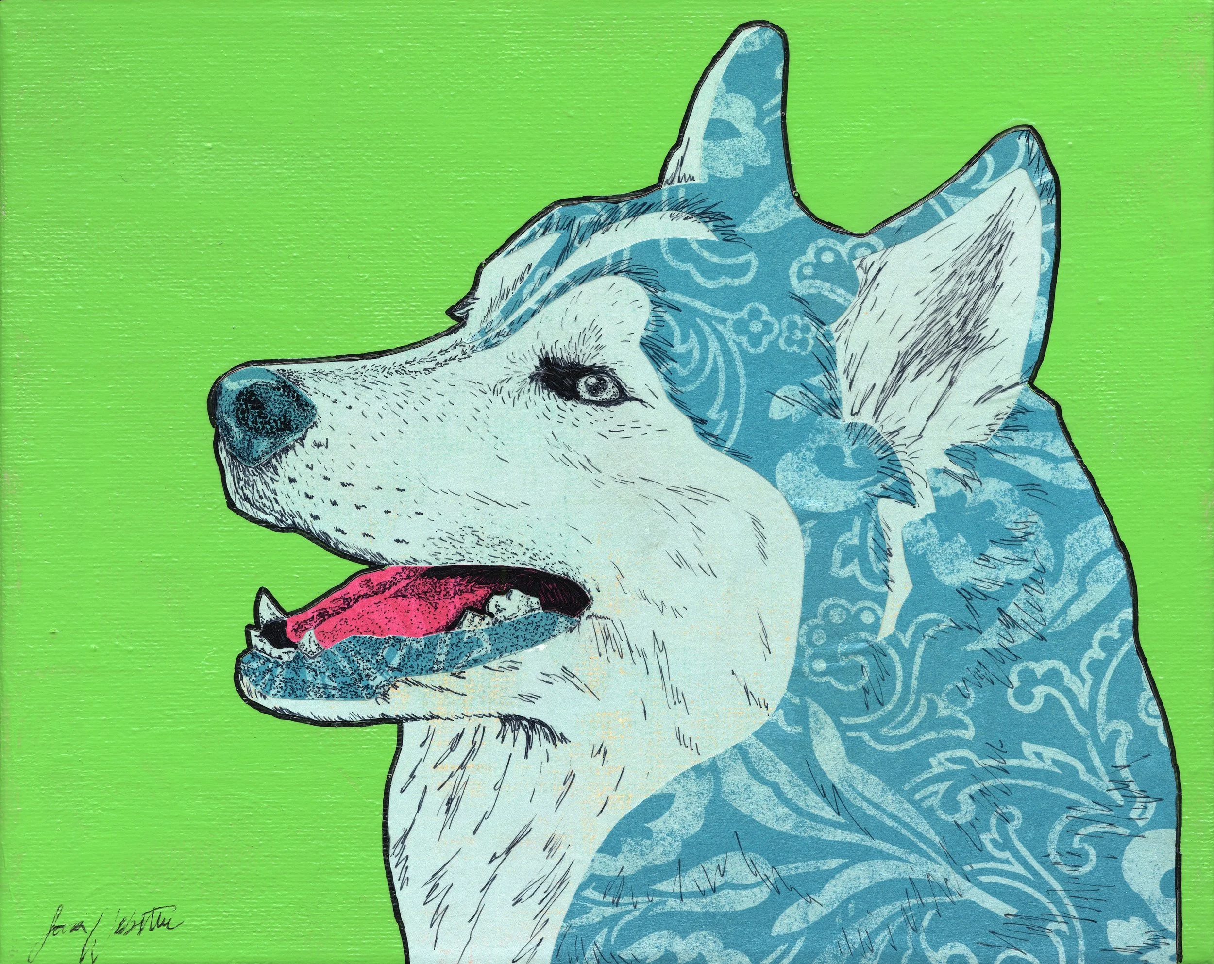 A portrait of a Husky dog with a pink and black tongue hanging out, against a bright green background.