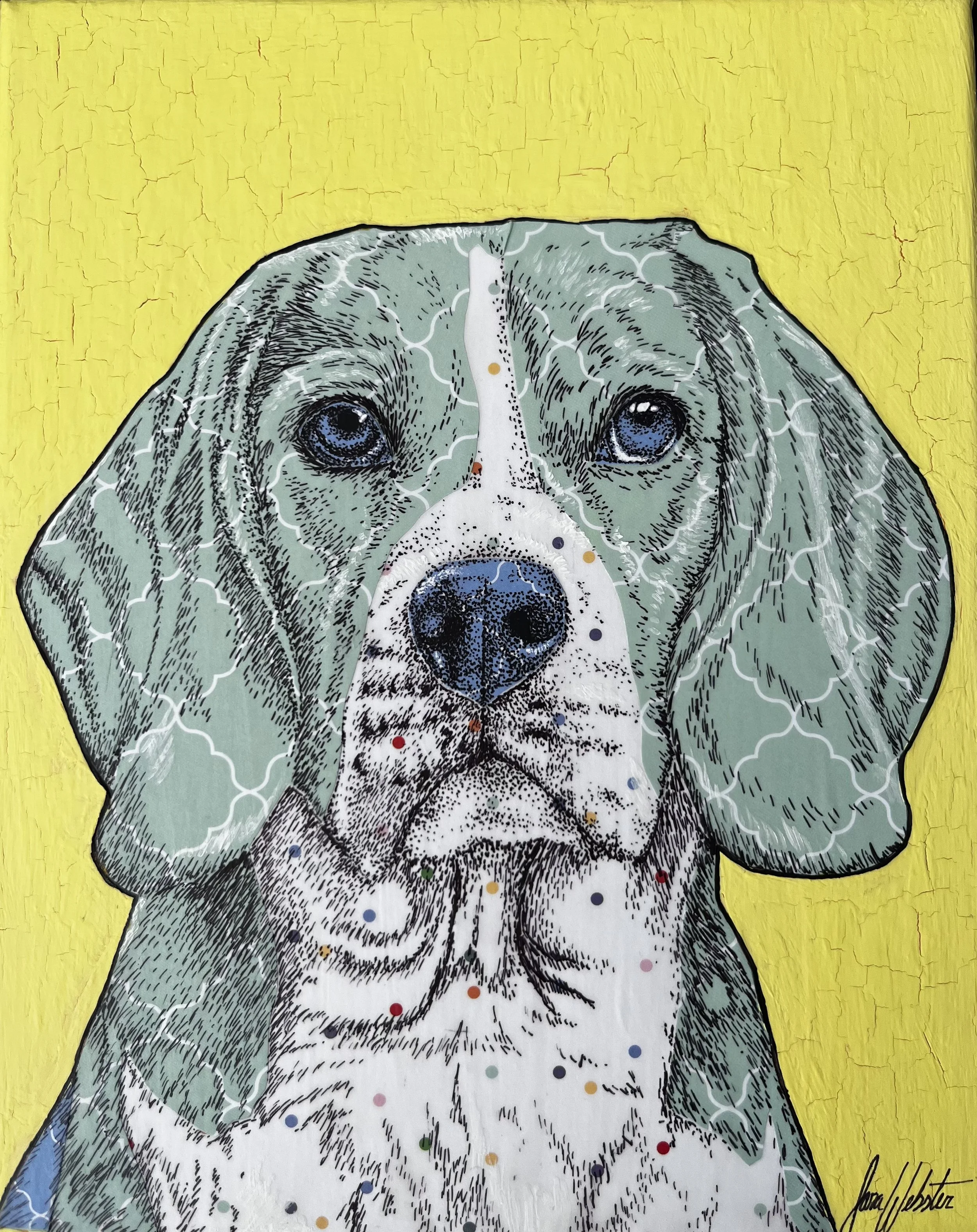 Beagle- Original