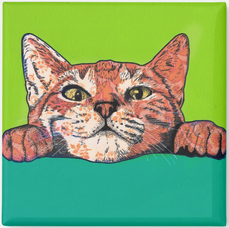Curious Cat Magnet.png