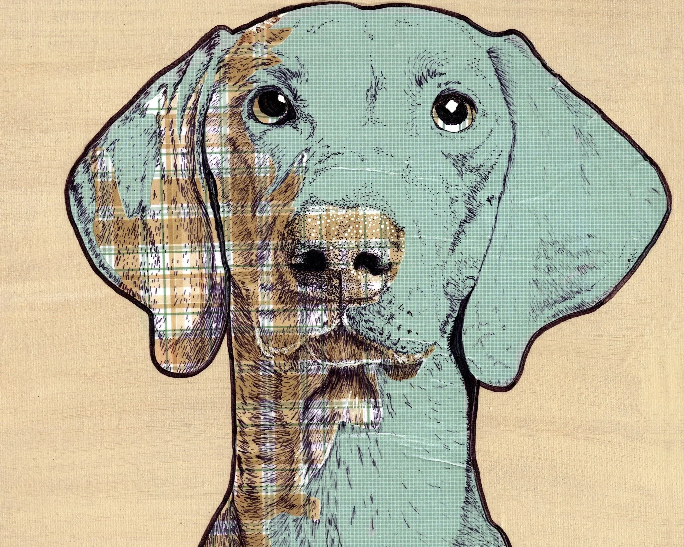 Portrait of a dog's face with large, expressive eyes, featuring detailed line work and minimal coloring, set against a beige background.