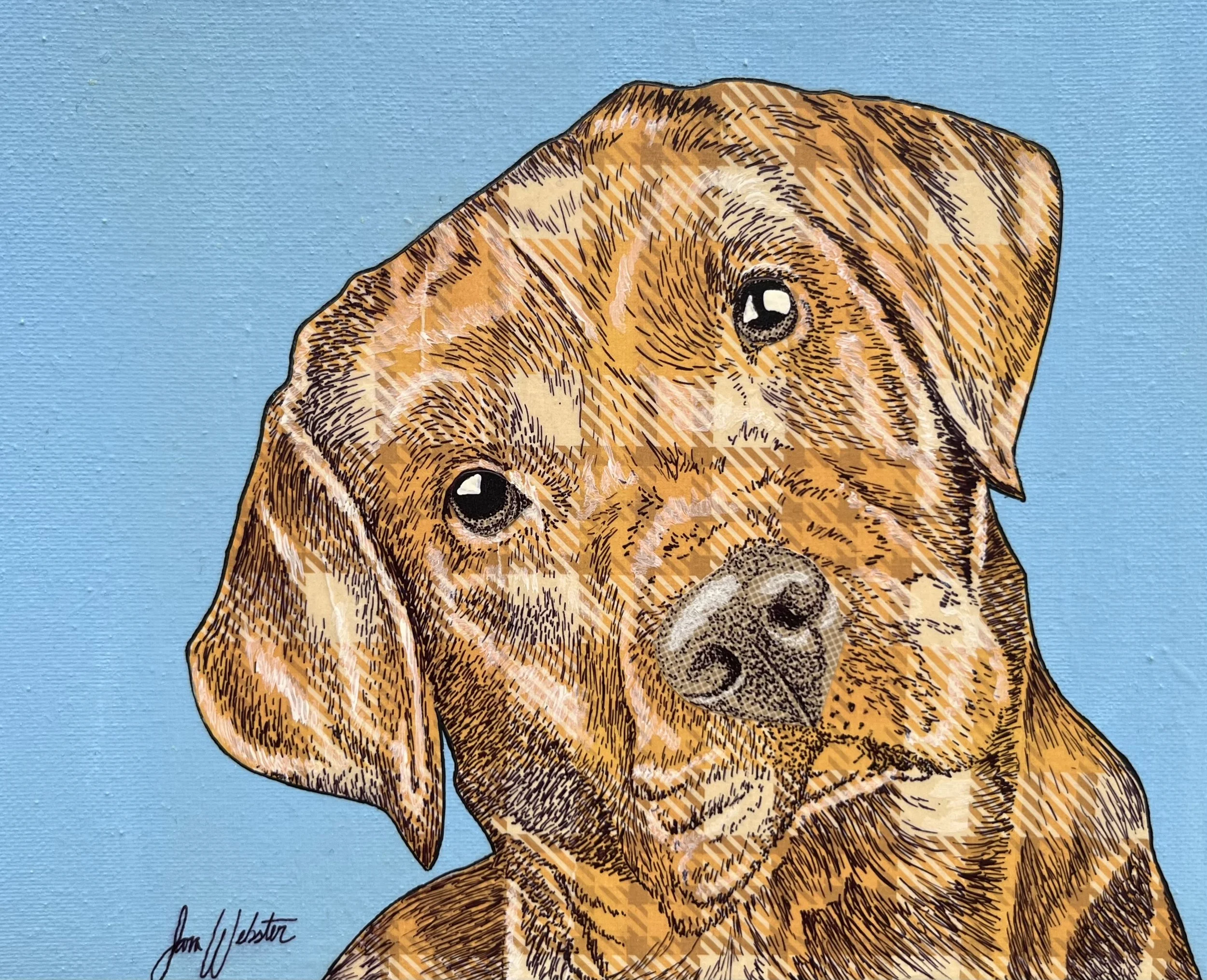 A detailed portrait of a dog, showing its head and part of its body, with a blue background. The dog has a brown coat with darker markings and expressive eyes.