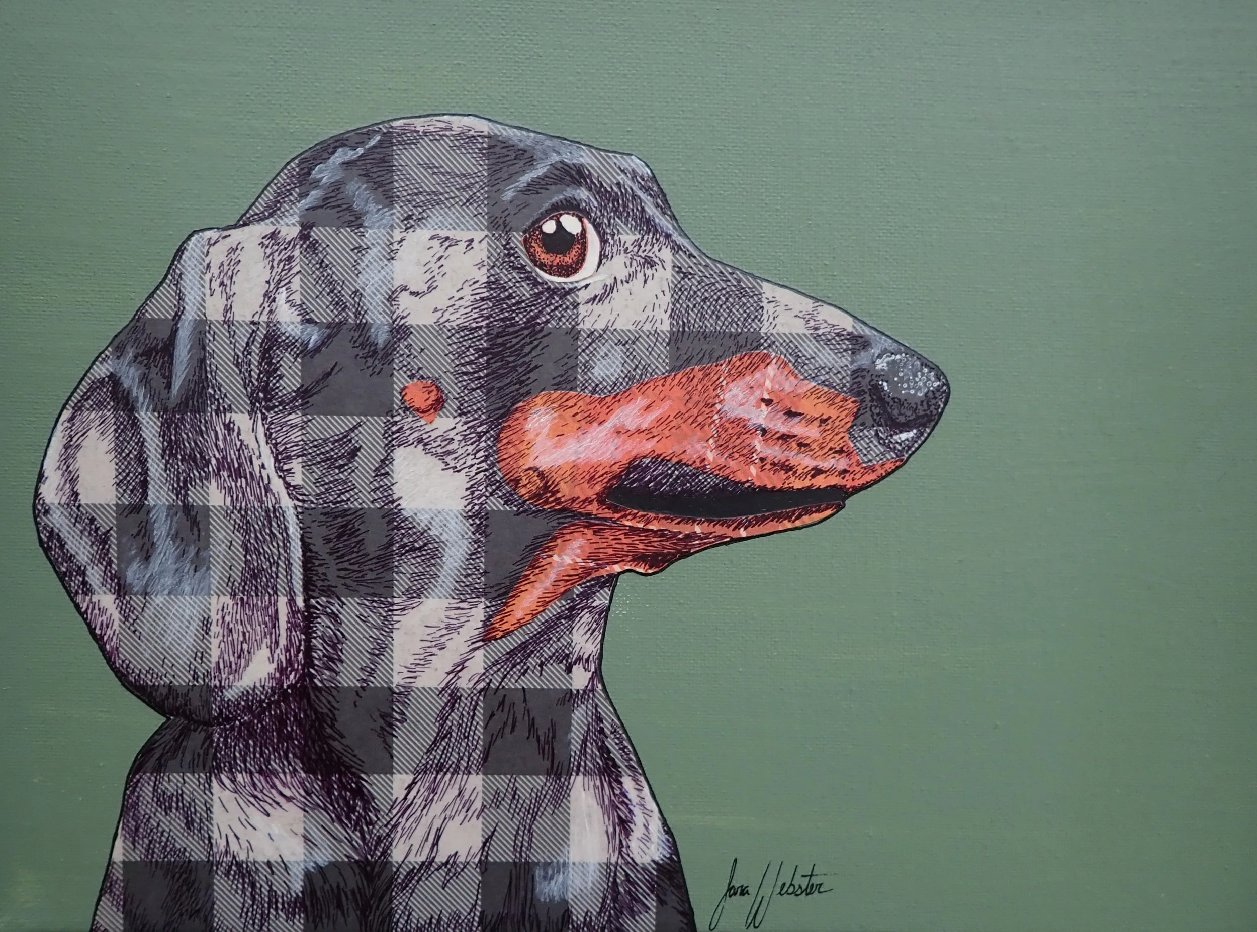 Dachshund Matted Print