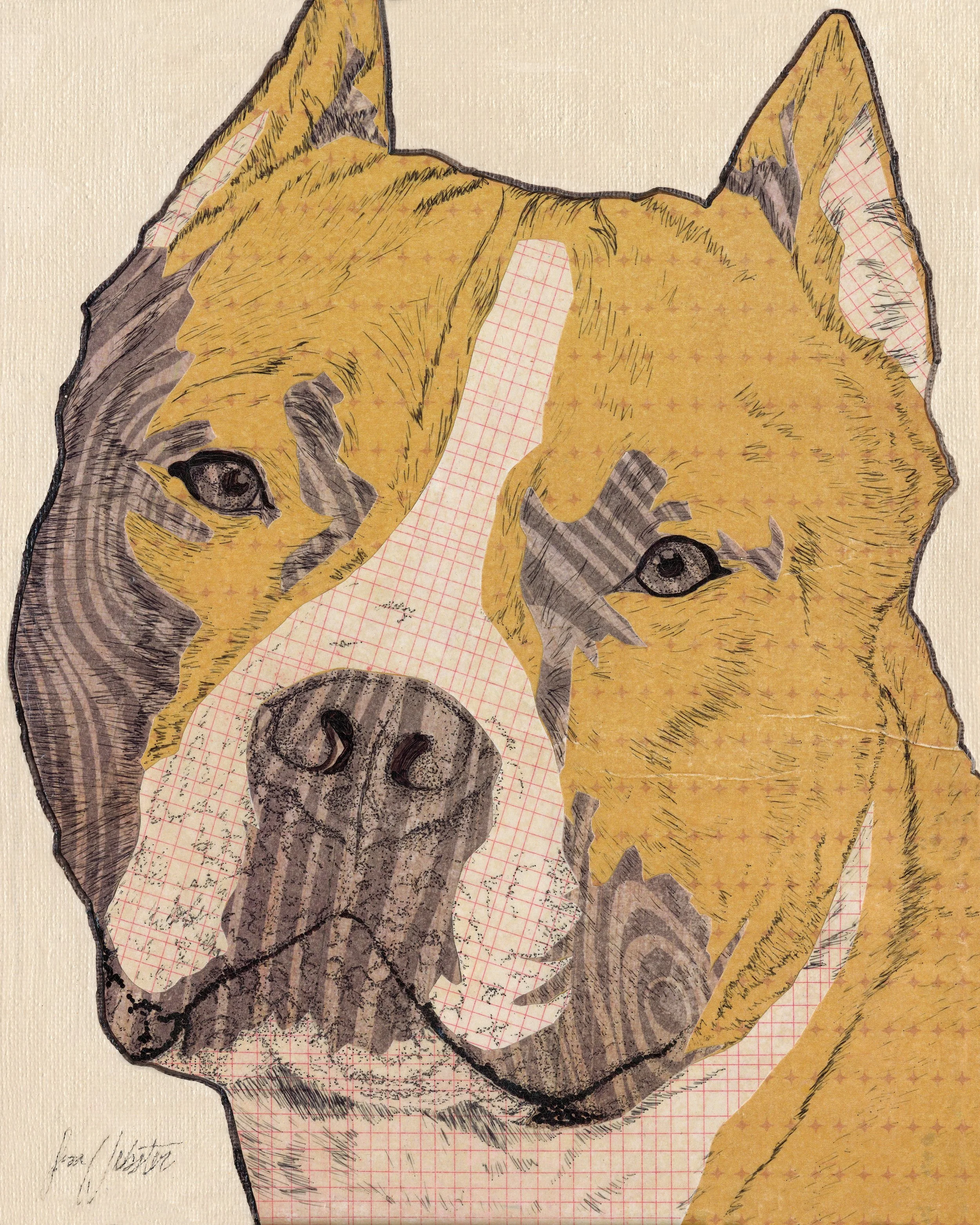 Close-up of a mixed media art piece depicting a pitbull's face, combining drawing, collage, and found materials on textured paper.