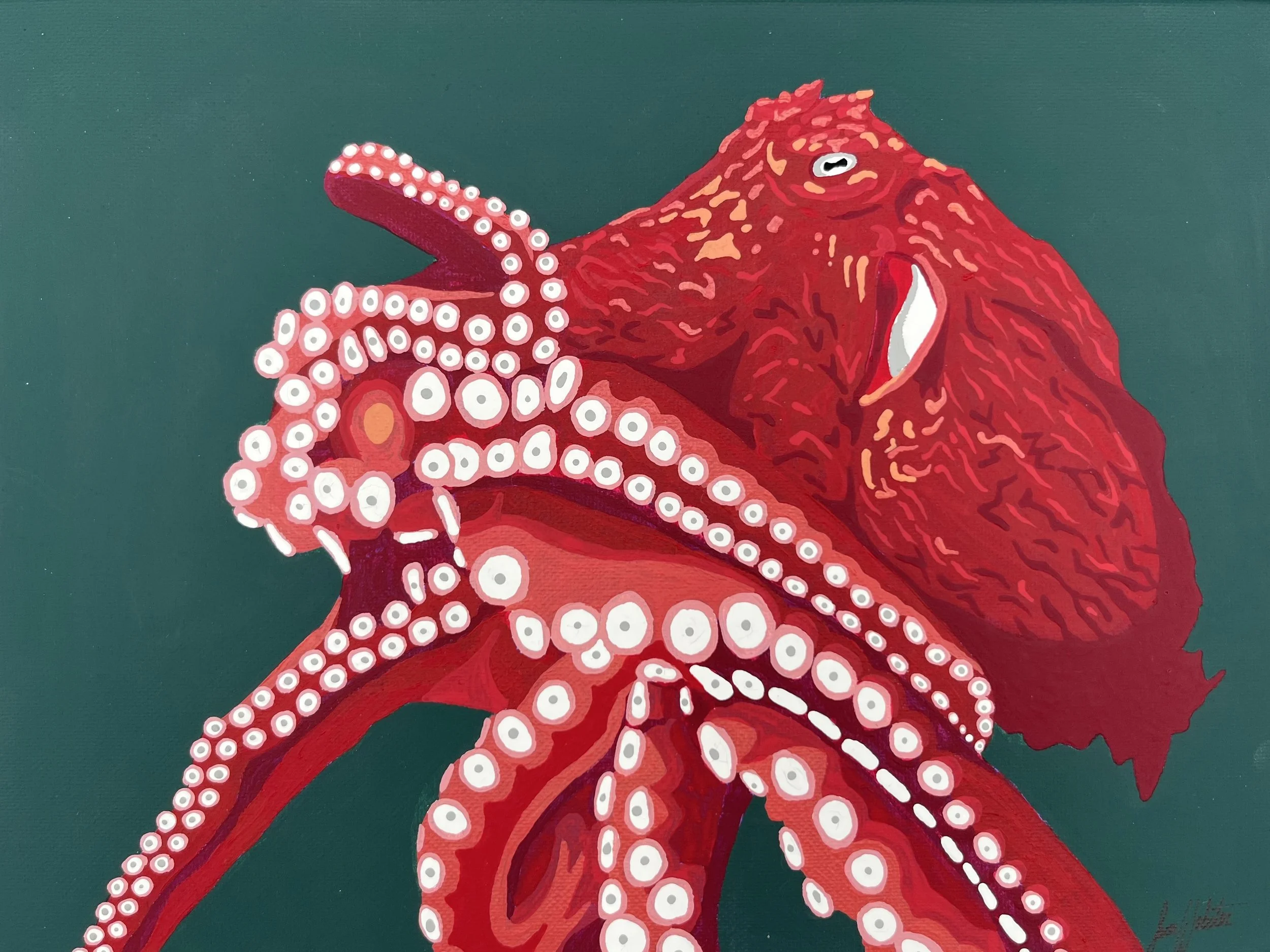 Giant Pacific Octopus Matted Print