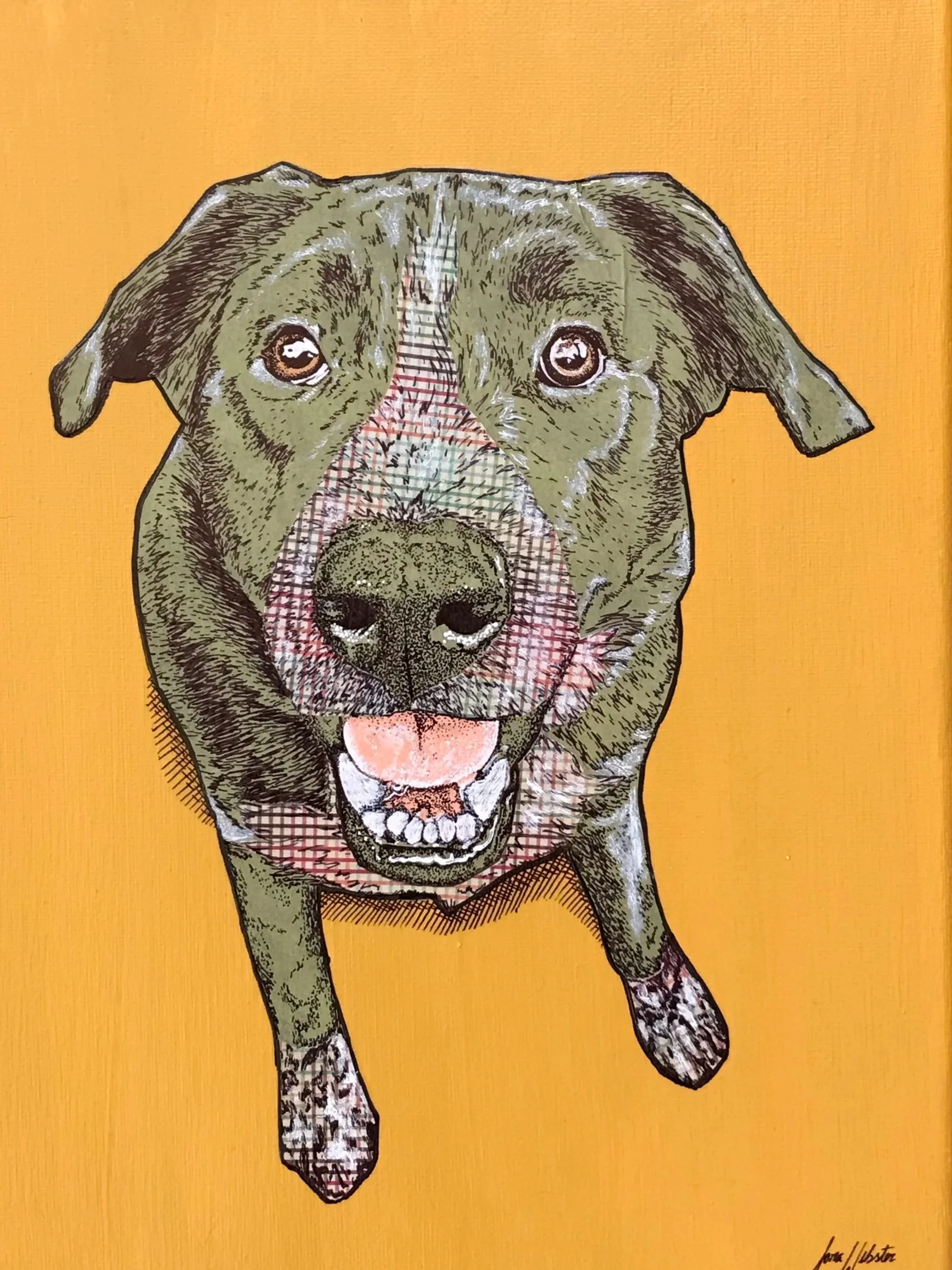 A collage of a dog set against an orange background.