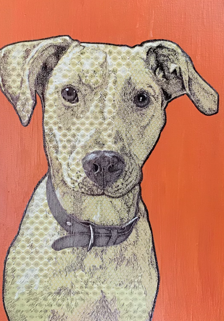 Portrait of a dog on an orange background, with a mixed media style.