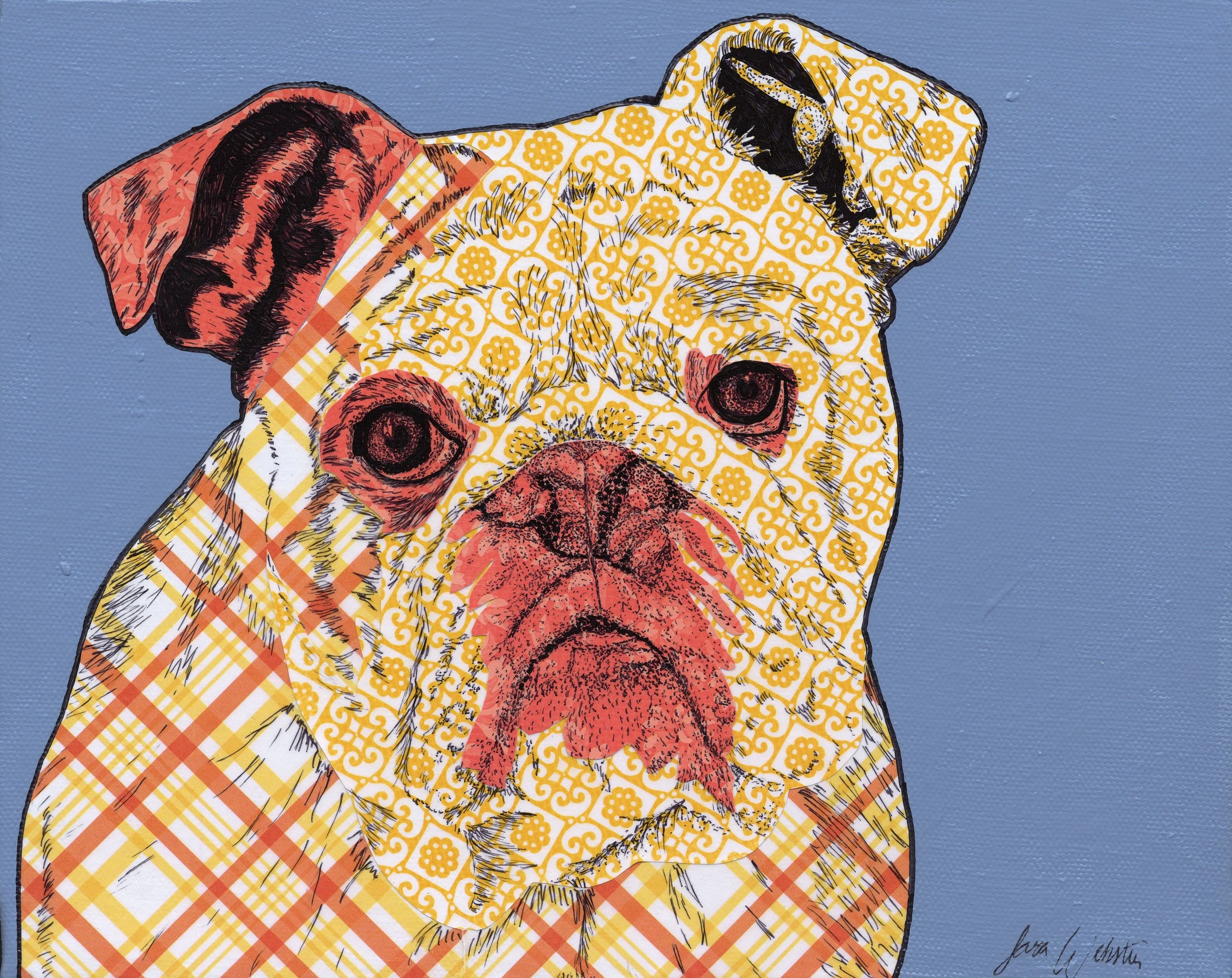 Portrait of a dog, English bulldog, on a blue background.