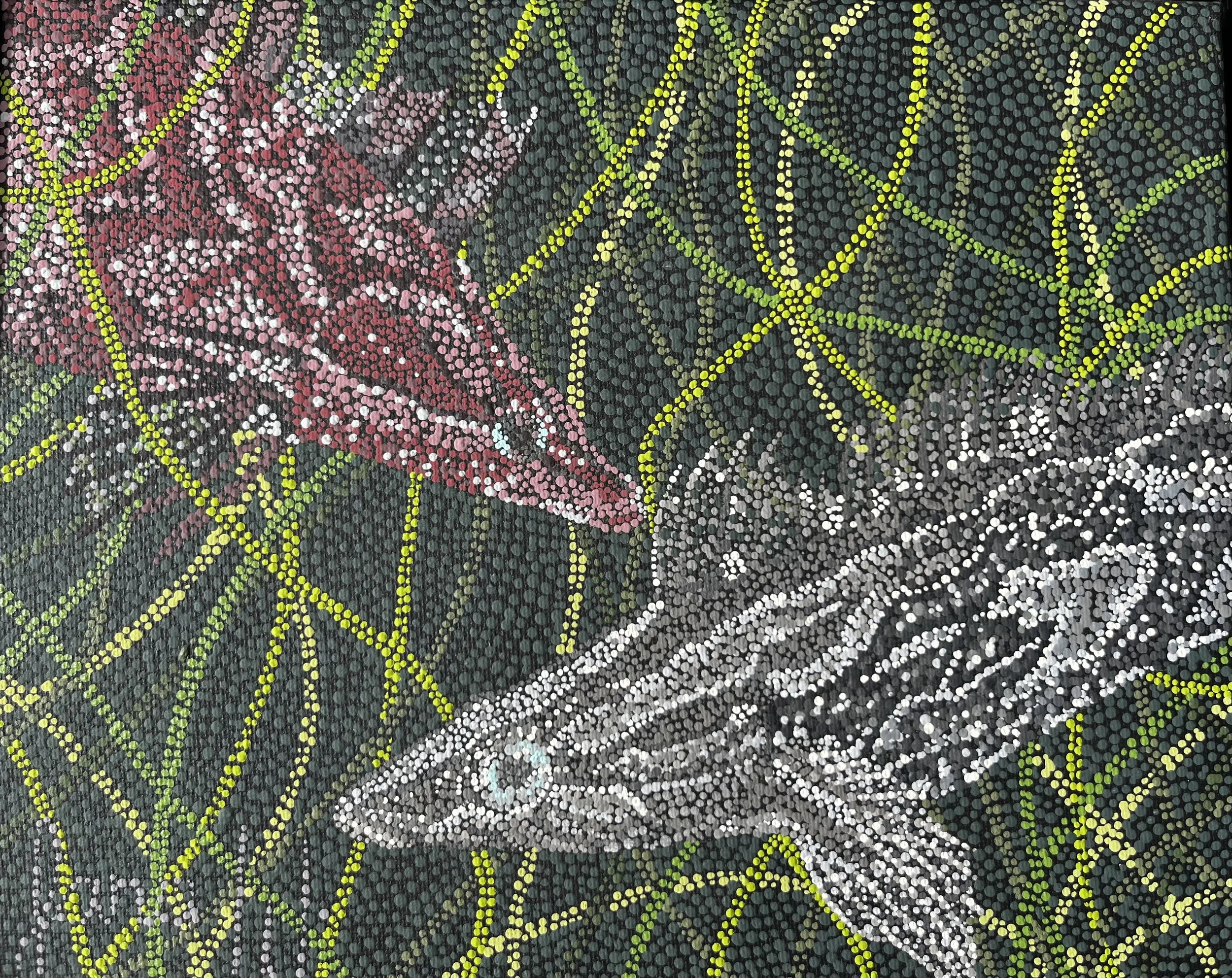 Kelpfish Tango- Original