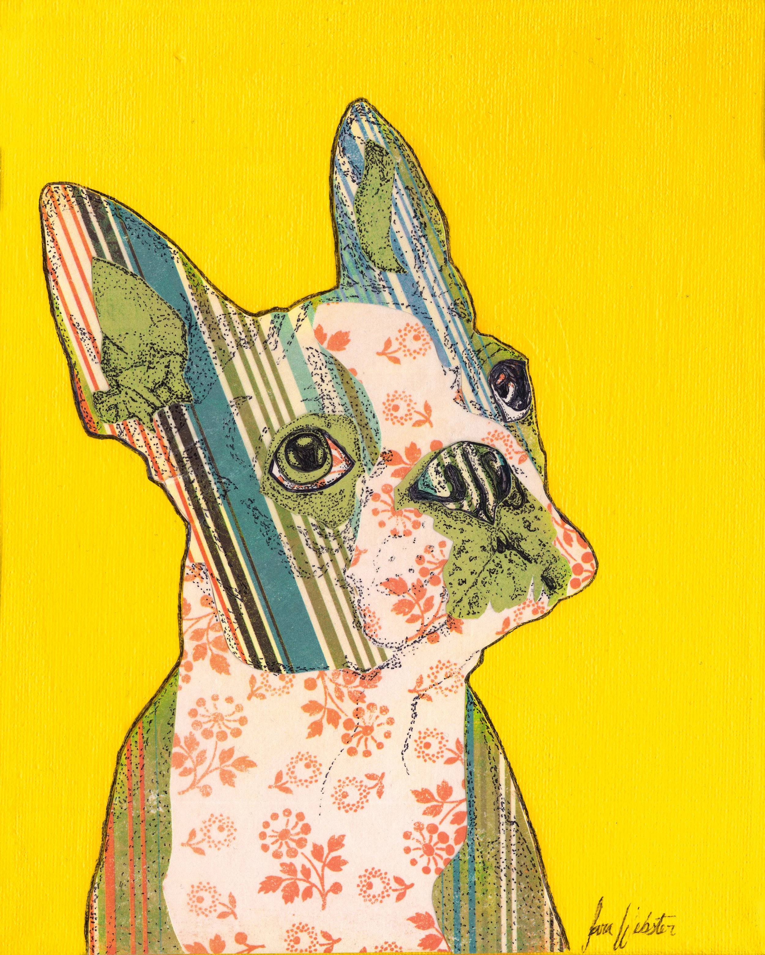 Boston Terrier- Original