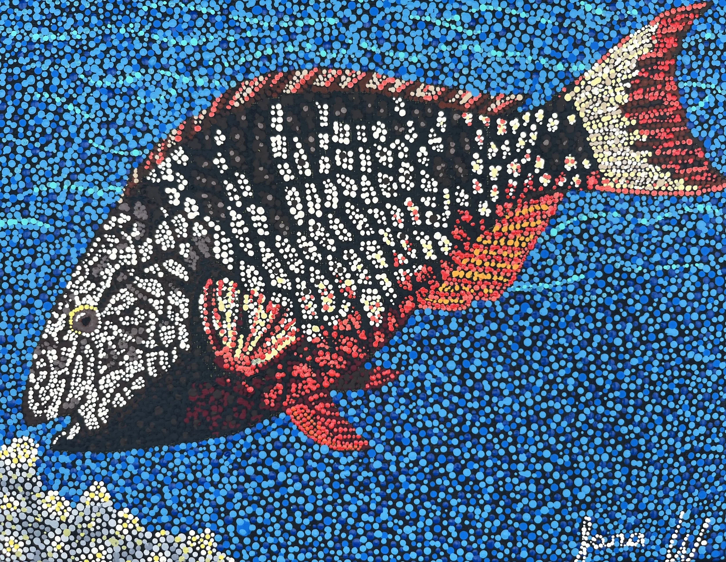 Female Stoplight Parrotfish