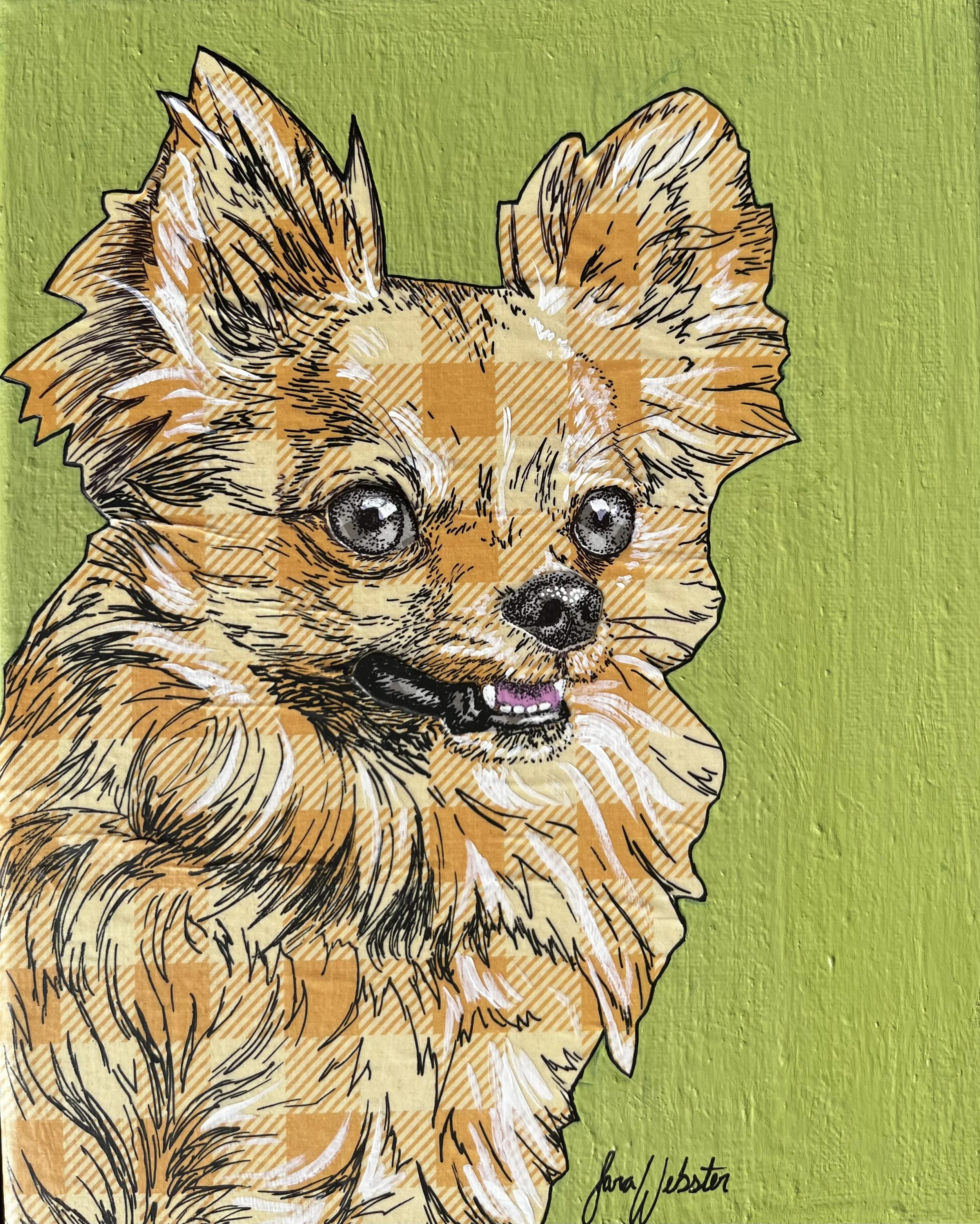 Long Haired Chihuahua- Original