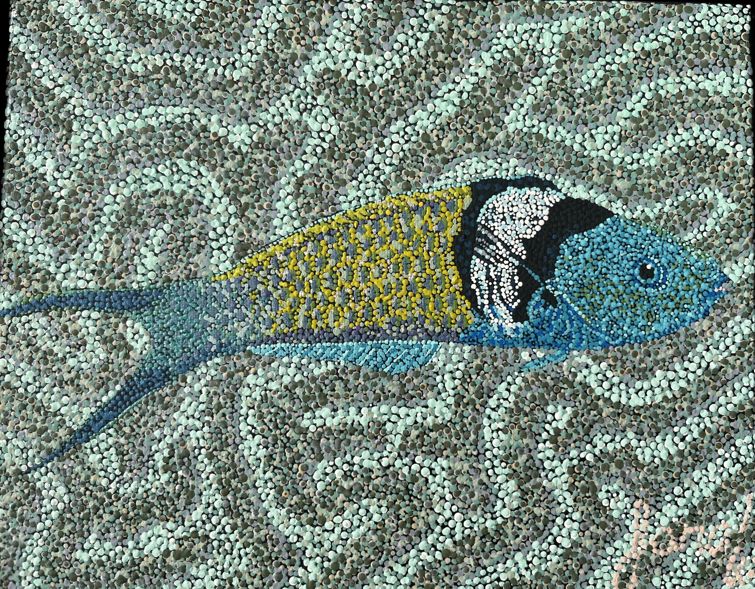 Blue Headed Wrasse- Original