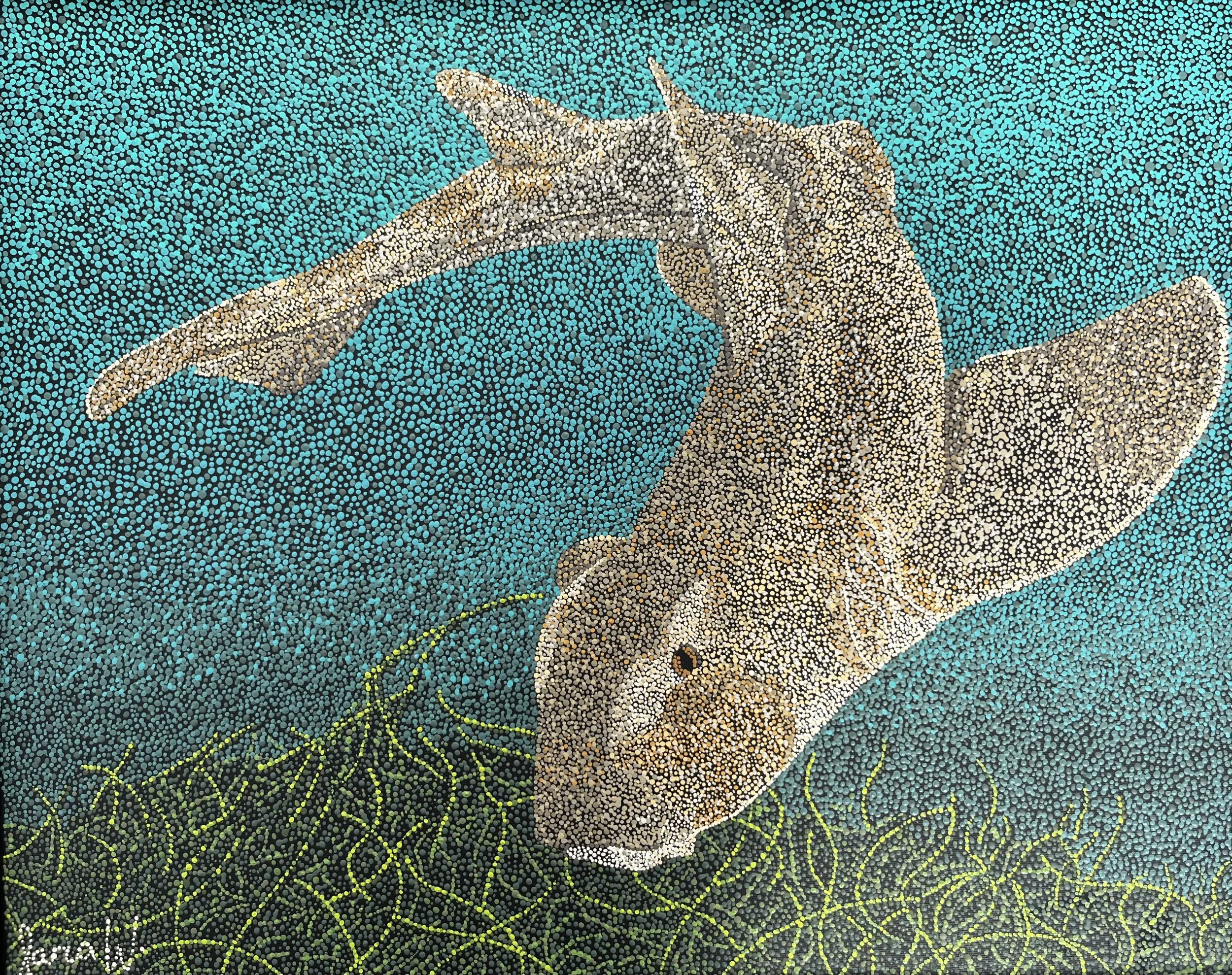 Horned Shark- Original