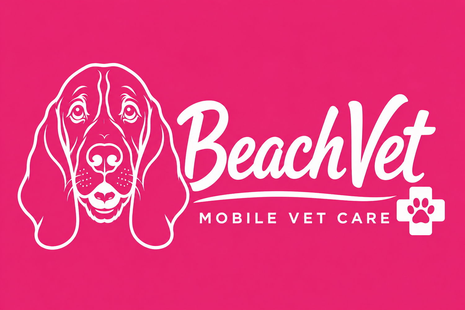 BeachVet Mobile Veterinary Services