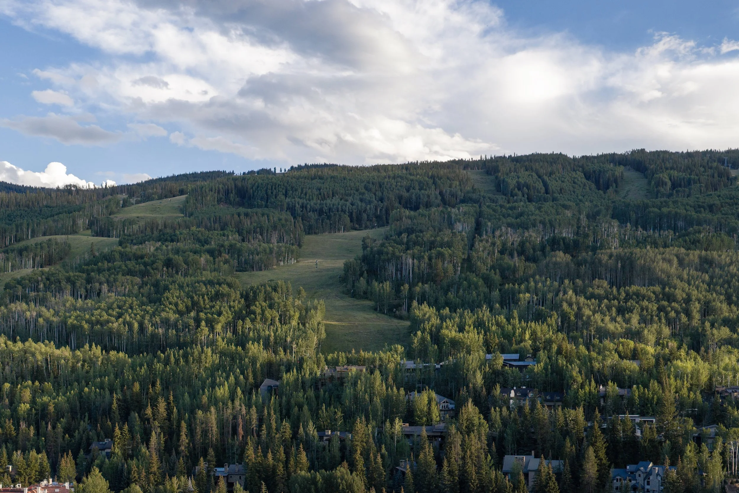 DJI_0117_2_SFB.jpeg
