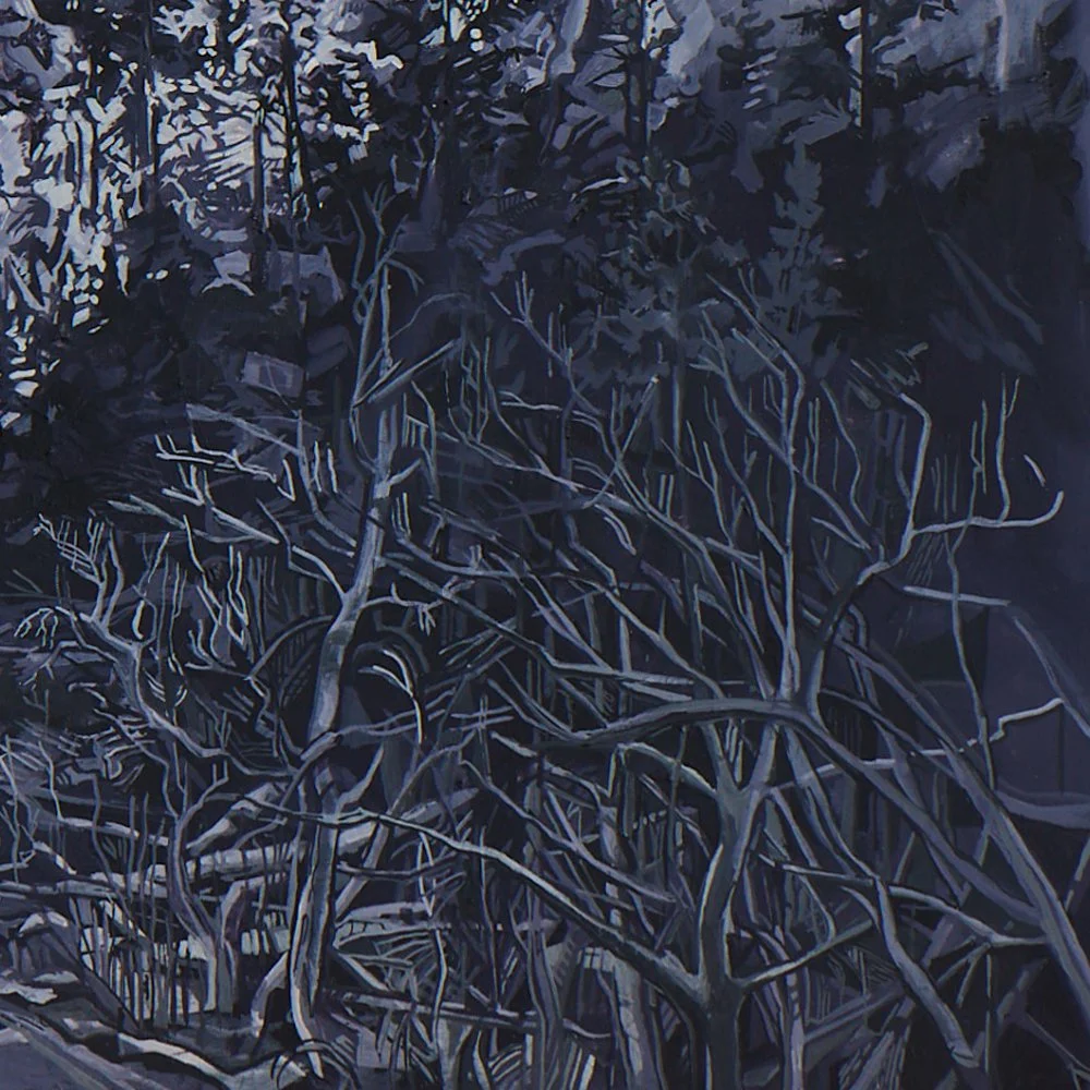 13 TongueRiverBasin_DetailShot1.jpg