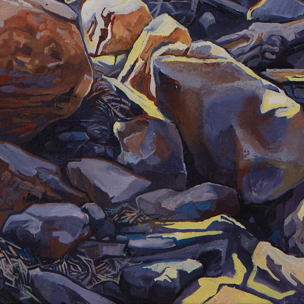 26 LaramieRockDeposit_DetailShot1.jpg