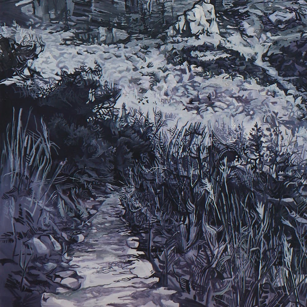 13 TongueRiverBasin_DetailShot3.jpg