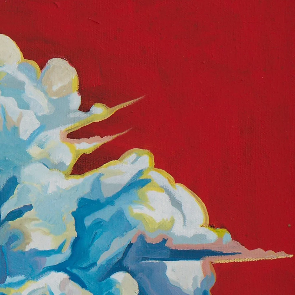 06 PoliticalLandscape_DetailShot2.jpg