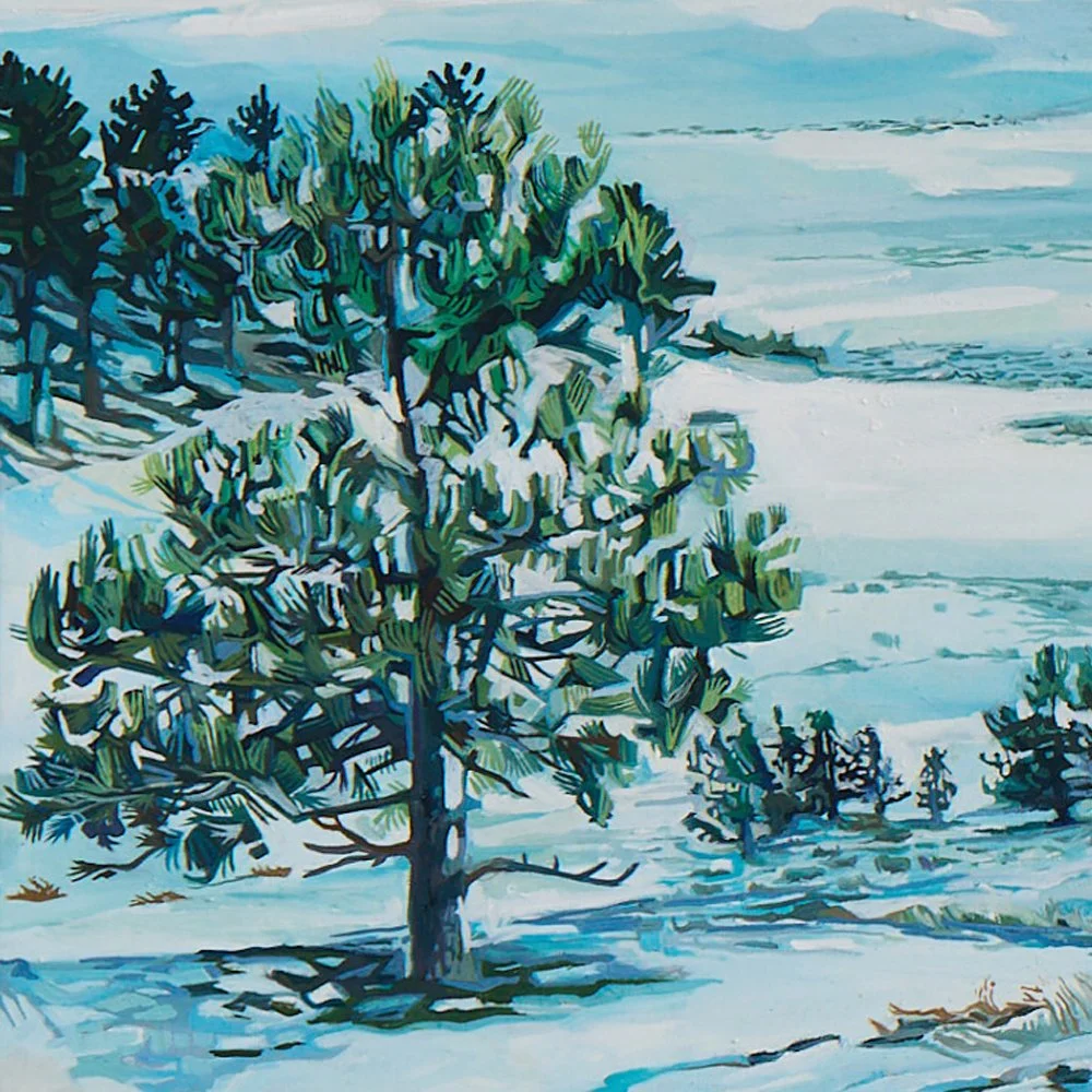 10 WinterFromEsterbrook_DetailShot1.jpg