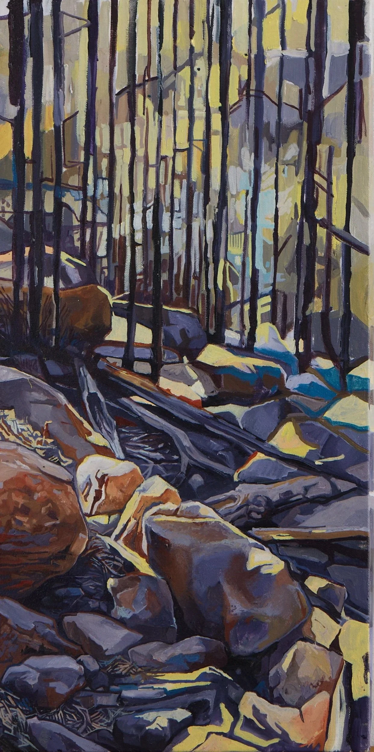 Laramie Rock Deposit (Print)