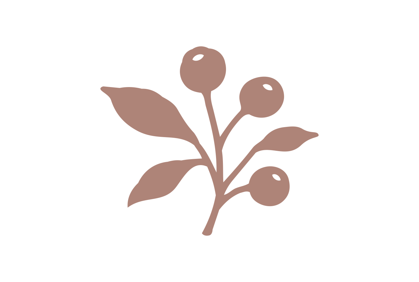 Pink berry icon