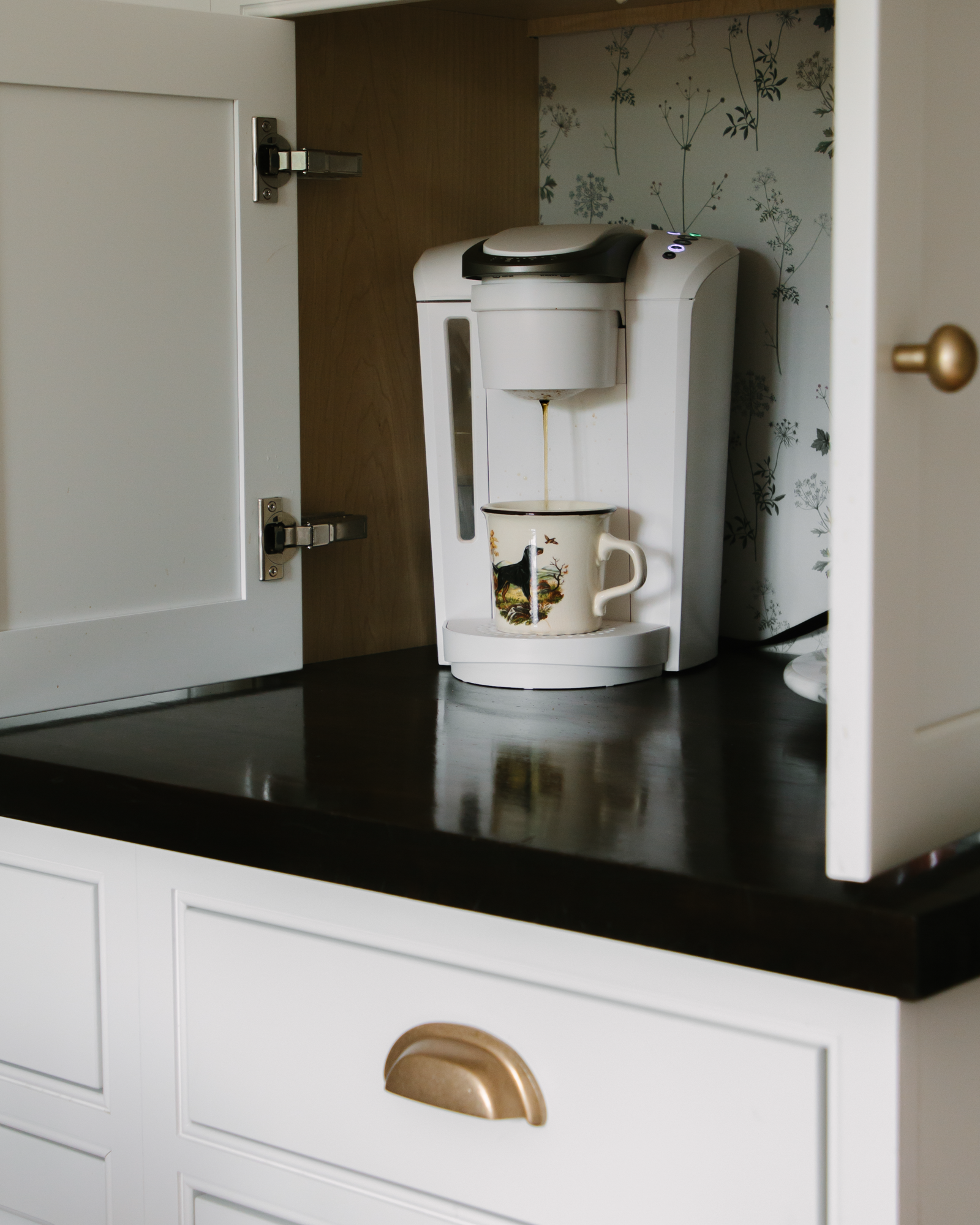 Ashburn Virginia Kitchen