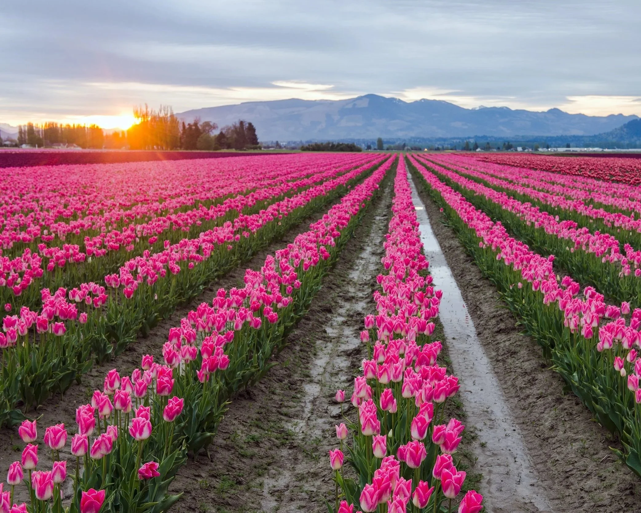 Skagit+Valley.jpg