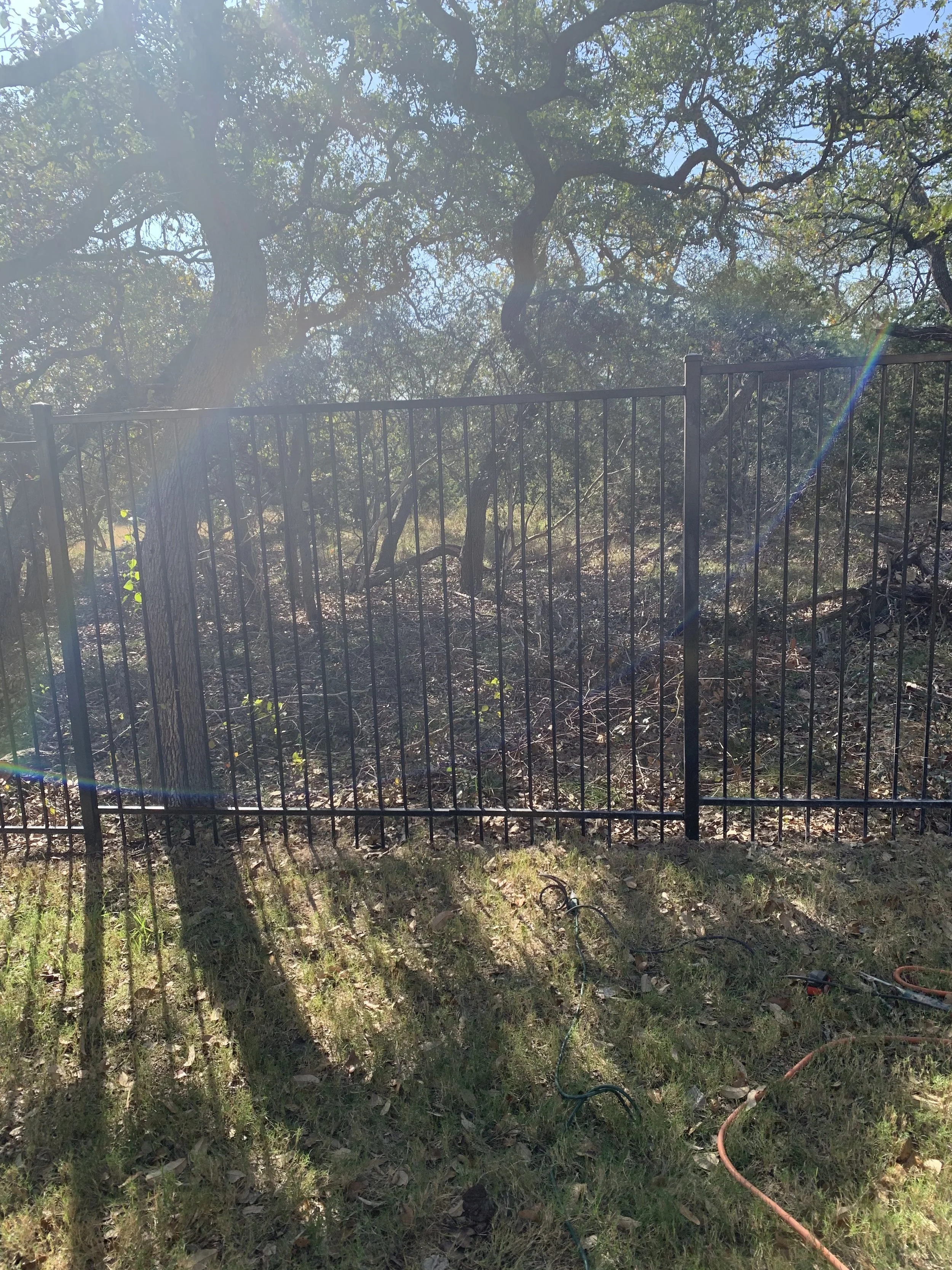 A metal fence surrounds a natural wooded area with trees and underbrush, sunlight filtering through the branches, and some garden hoses on the ground.