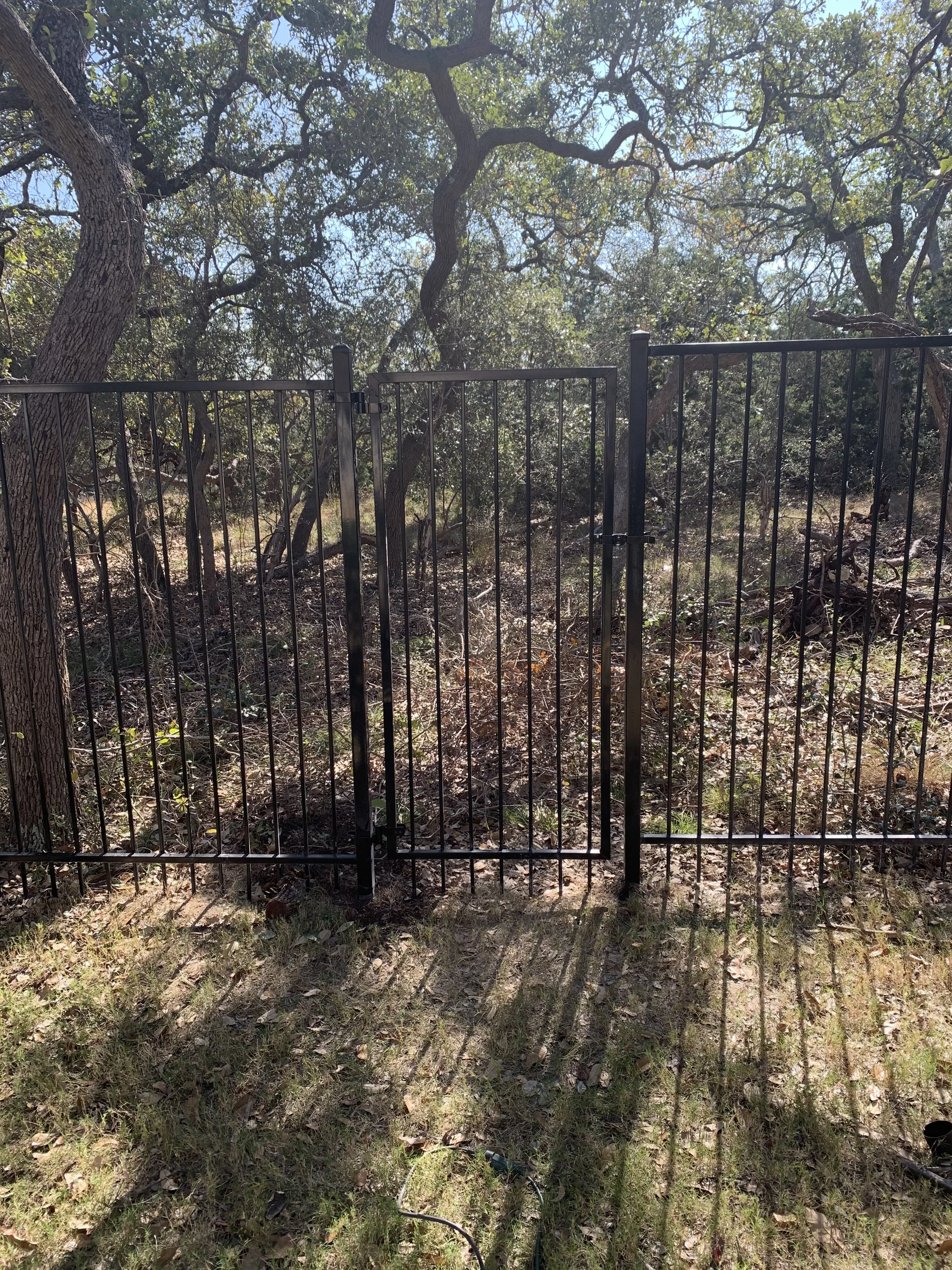 Black metal gate in front of wooded area with trees and sunlight filtering through leaves.