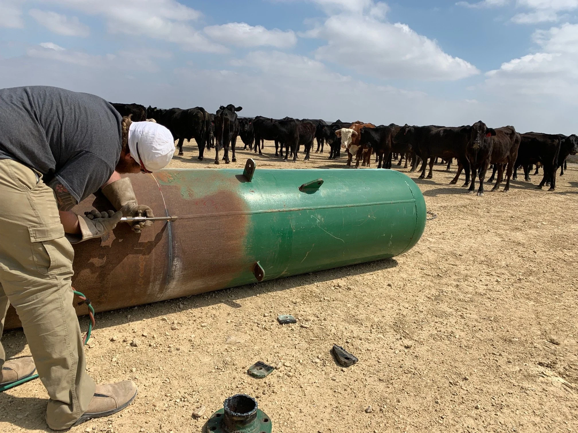 A man welding a large green metal pipe outdoors with cows in the background under a partly cloudy sky.