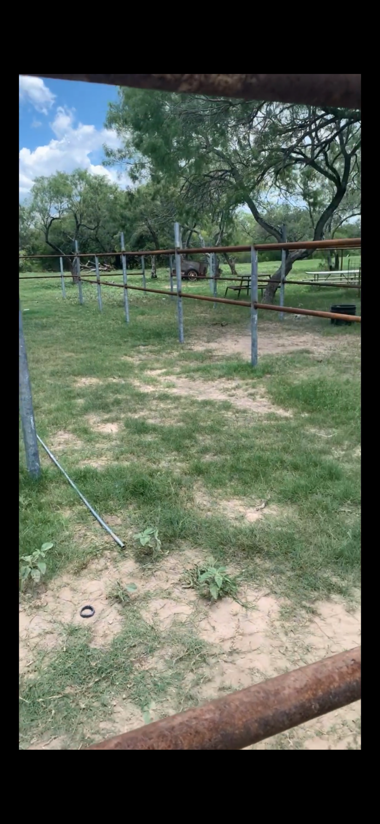 View of a park with trees, grass, and a metal railing structure, with a cloudy blue sky in the background.