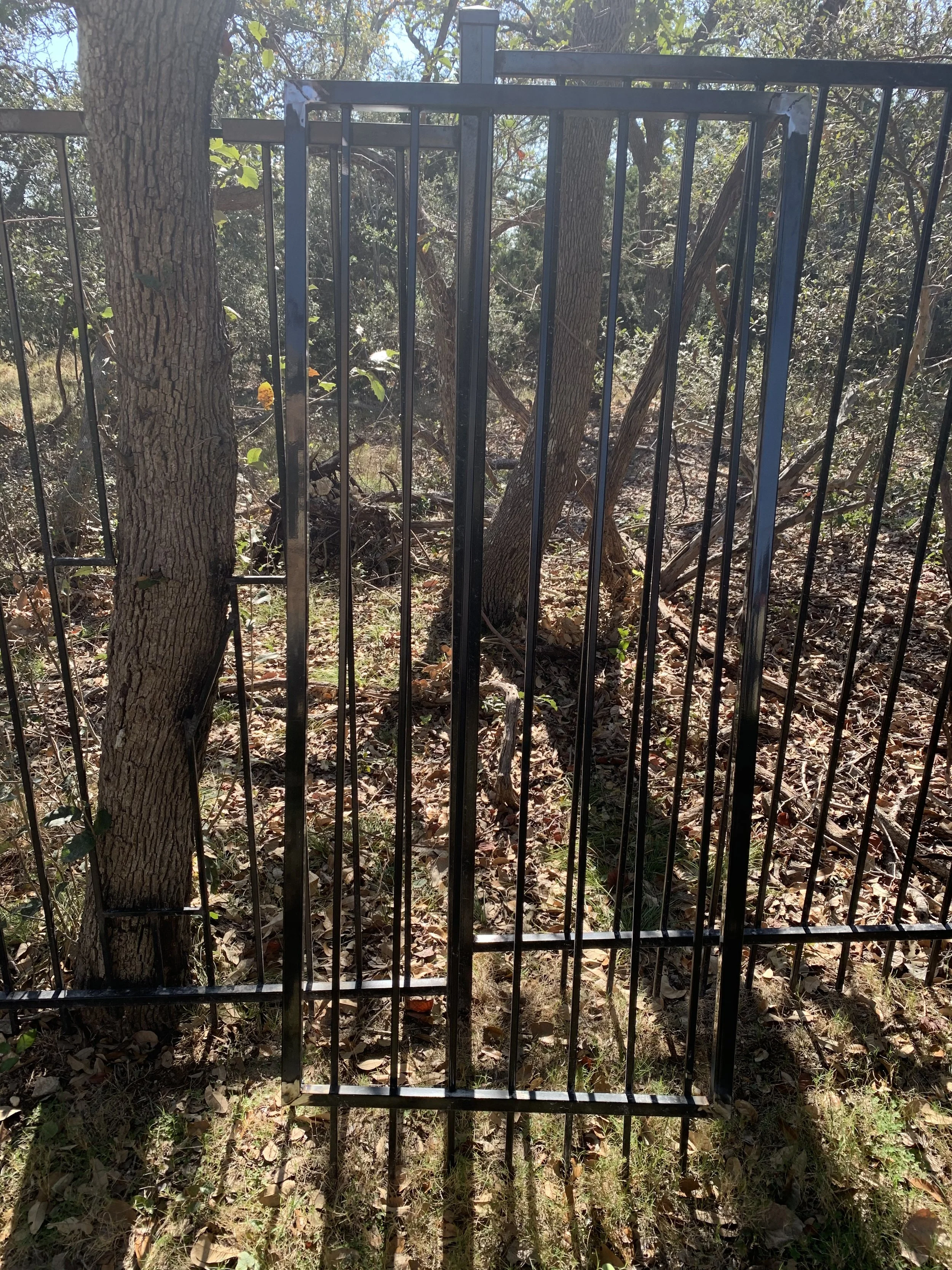 A black metal fence with vertical bars and a smaller gate in the center, situated in a wooded area with trees, leaves, and underbrush.