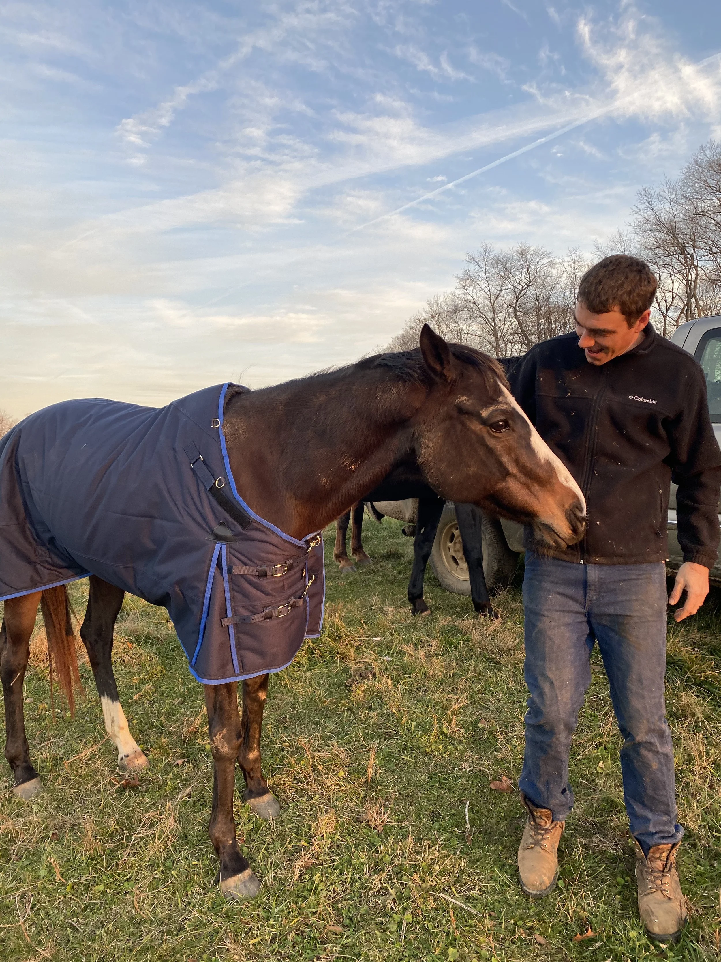 A man smiling at a horse wearing a blue blanket outdoors during daytime, with a blue sky and trees in the background.
