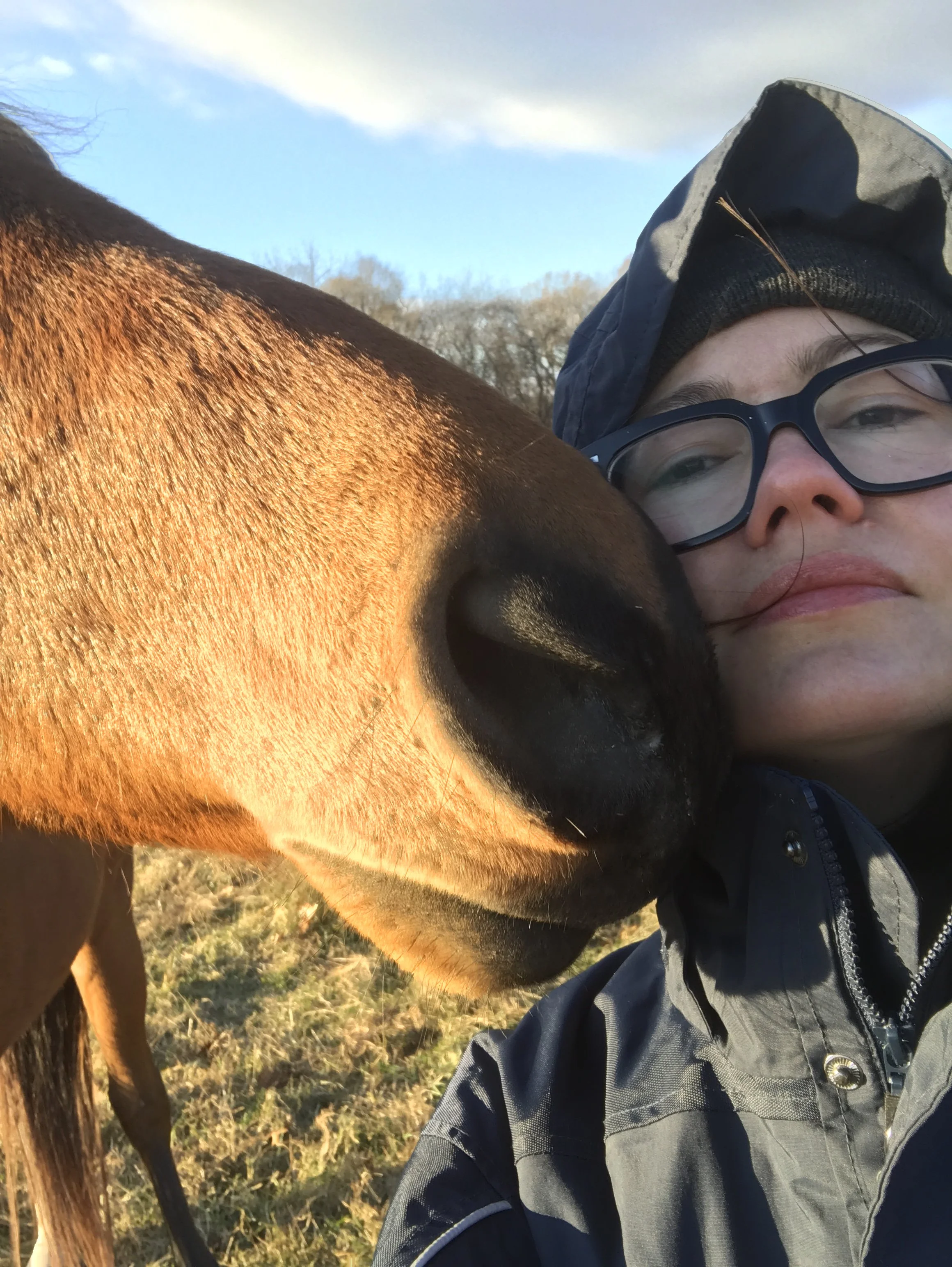 A person wearing glasses, a black beanie, and a dark jacket is lying on the ground close to a brown horse outside, with trees and a partly cloudy sky in the background.