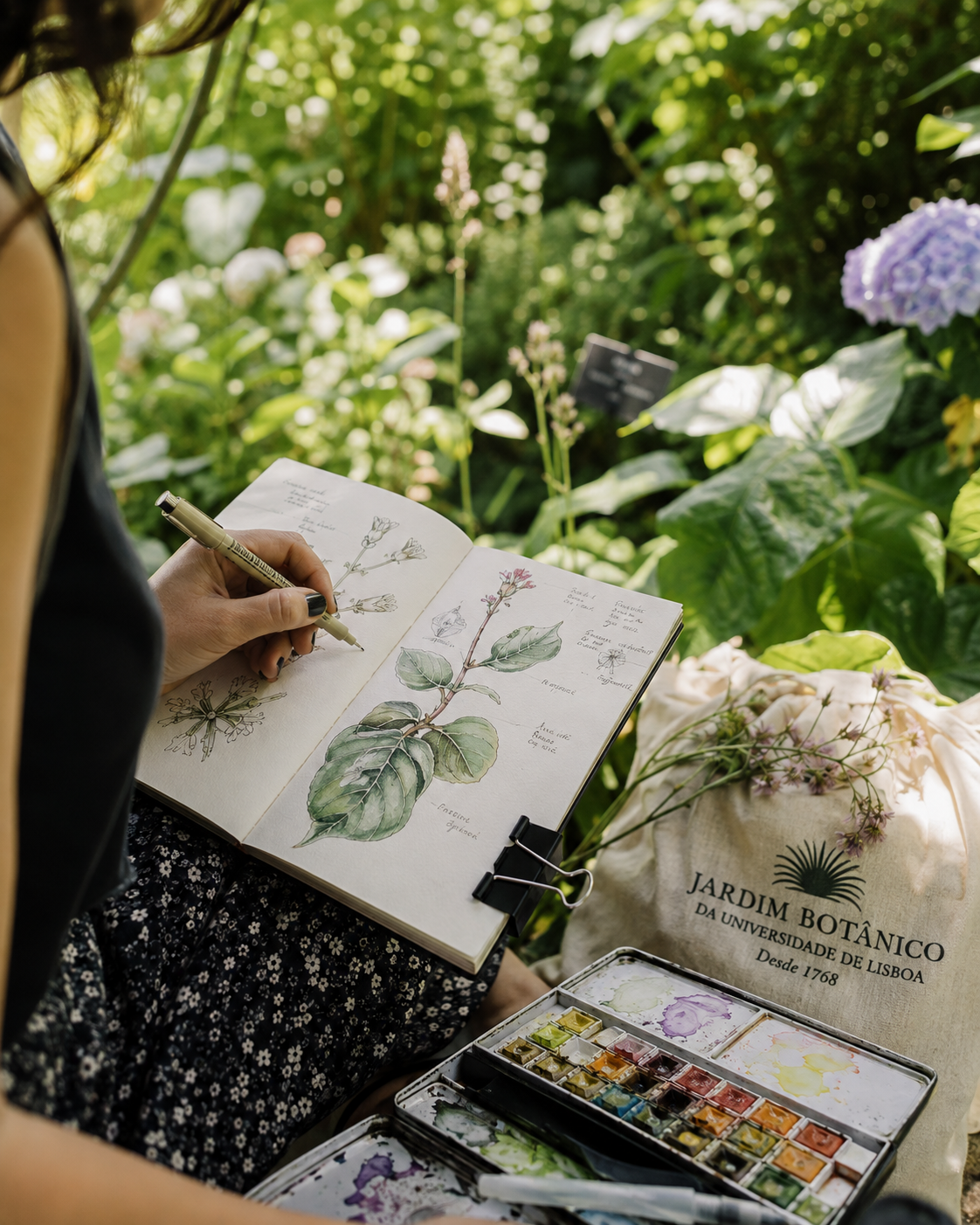 botanical sketch.png