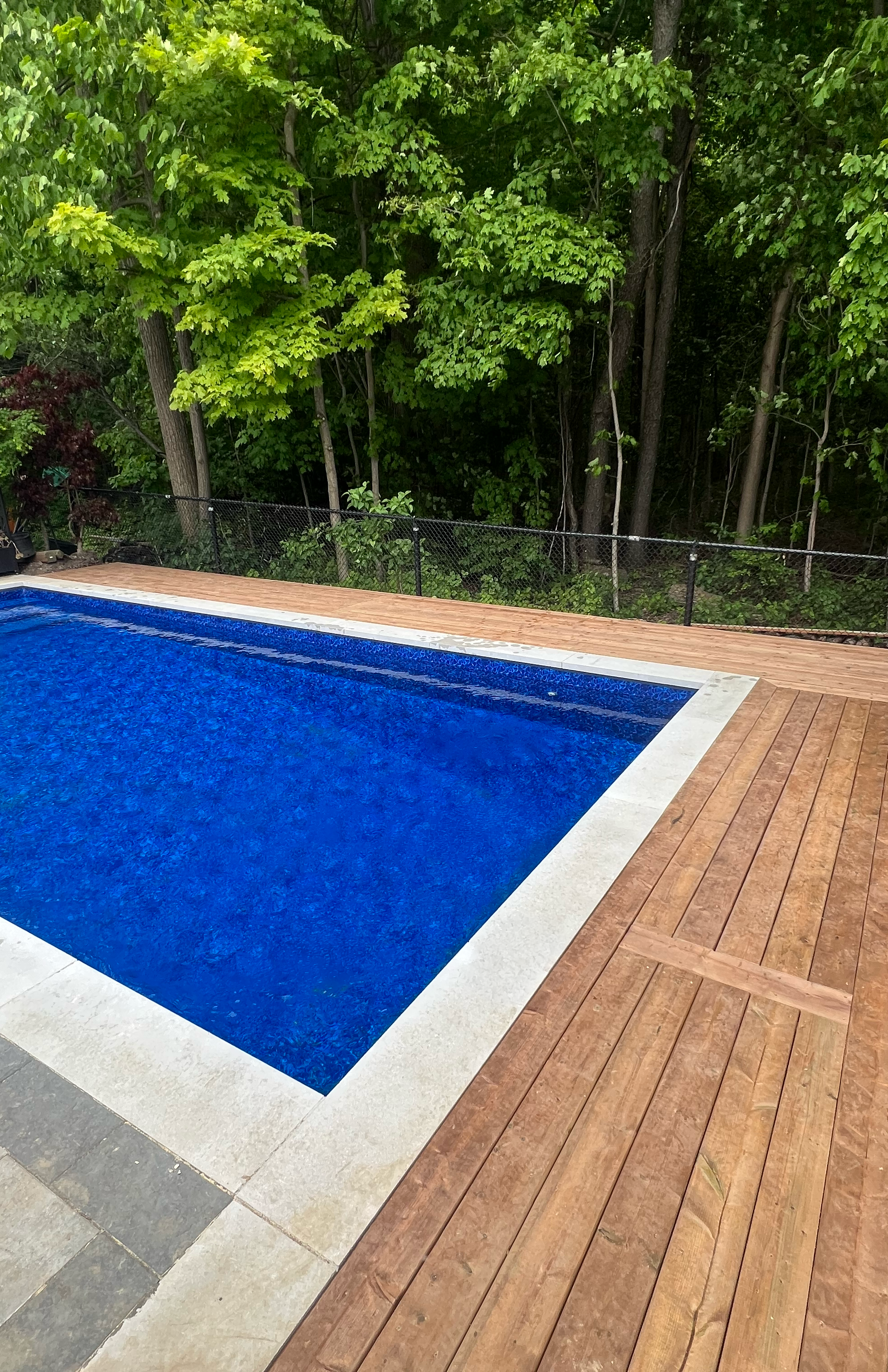 A backyard with a swimming pool, surrounded by wooden decking, and a black chain-link fence. In the background, tall green trees and shrubs form a lush natural backdrop.