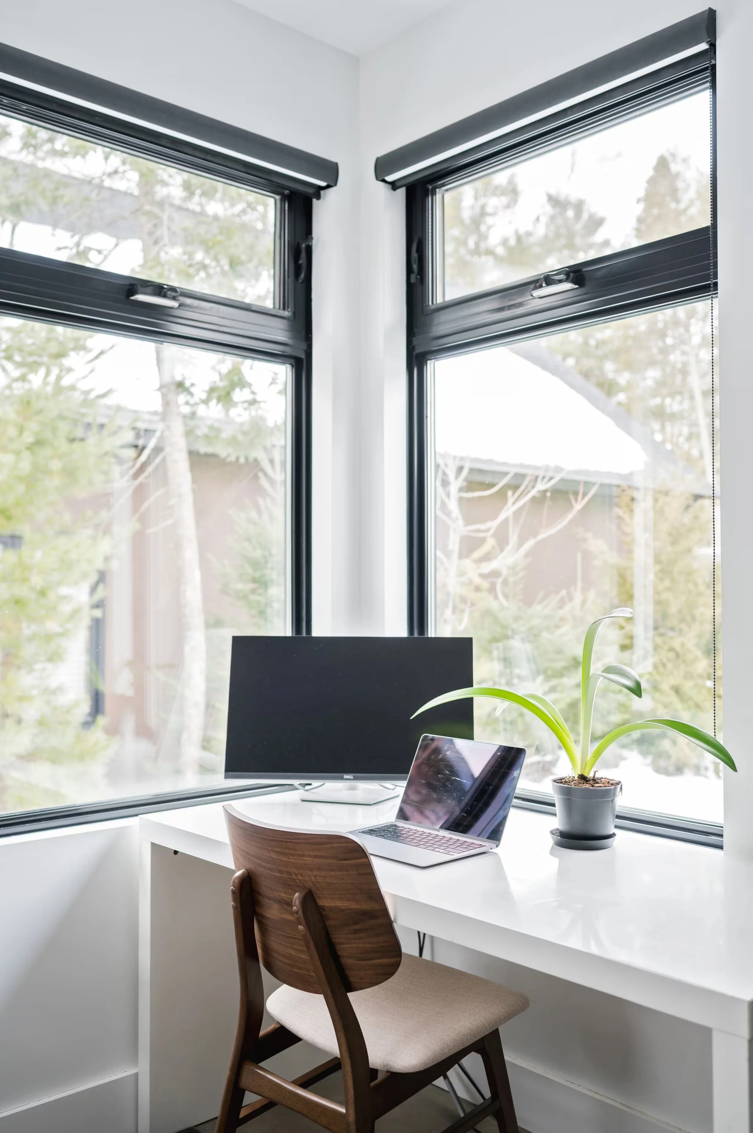 Home office desk in front of large corner window with blackout shades, white walls, a potted plant, a computer monitor, and a laptop chair