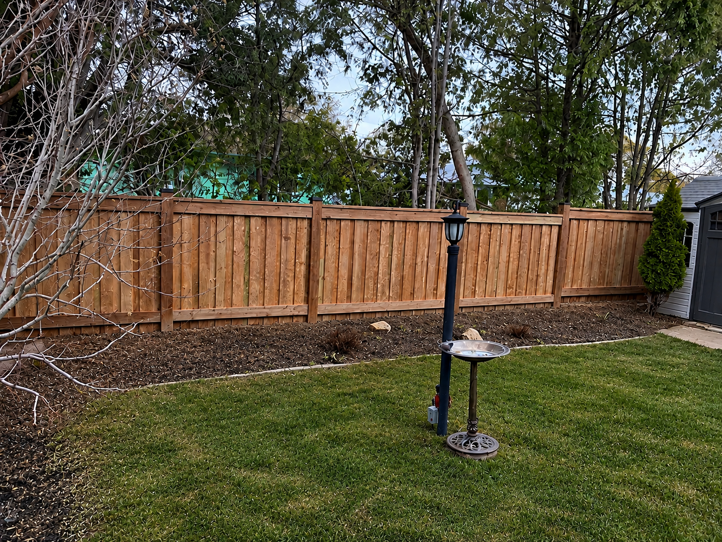 Residential backyard with a newly built wooden fence, a lantern-style garden light, a small shed, a tree with sparse branches, and a patch of green grass.